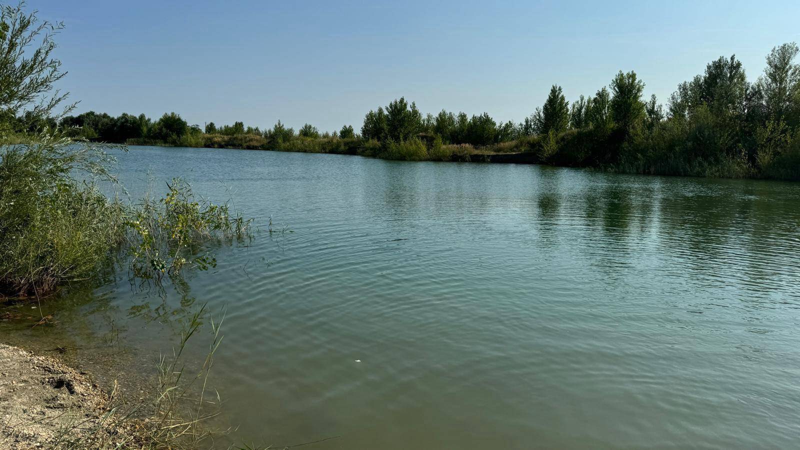 Ruhige Wasseroberfläche eines Sees mit leicht bewachsenem Ufer und klarem Himmel.