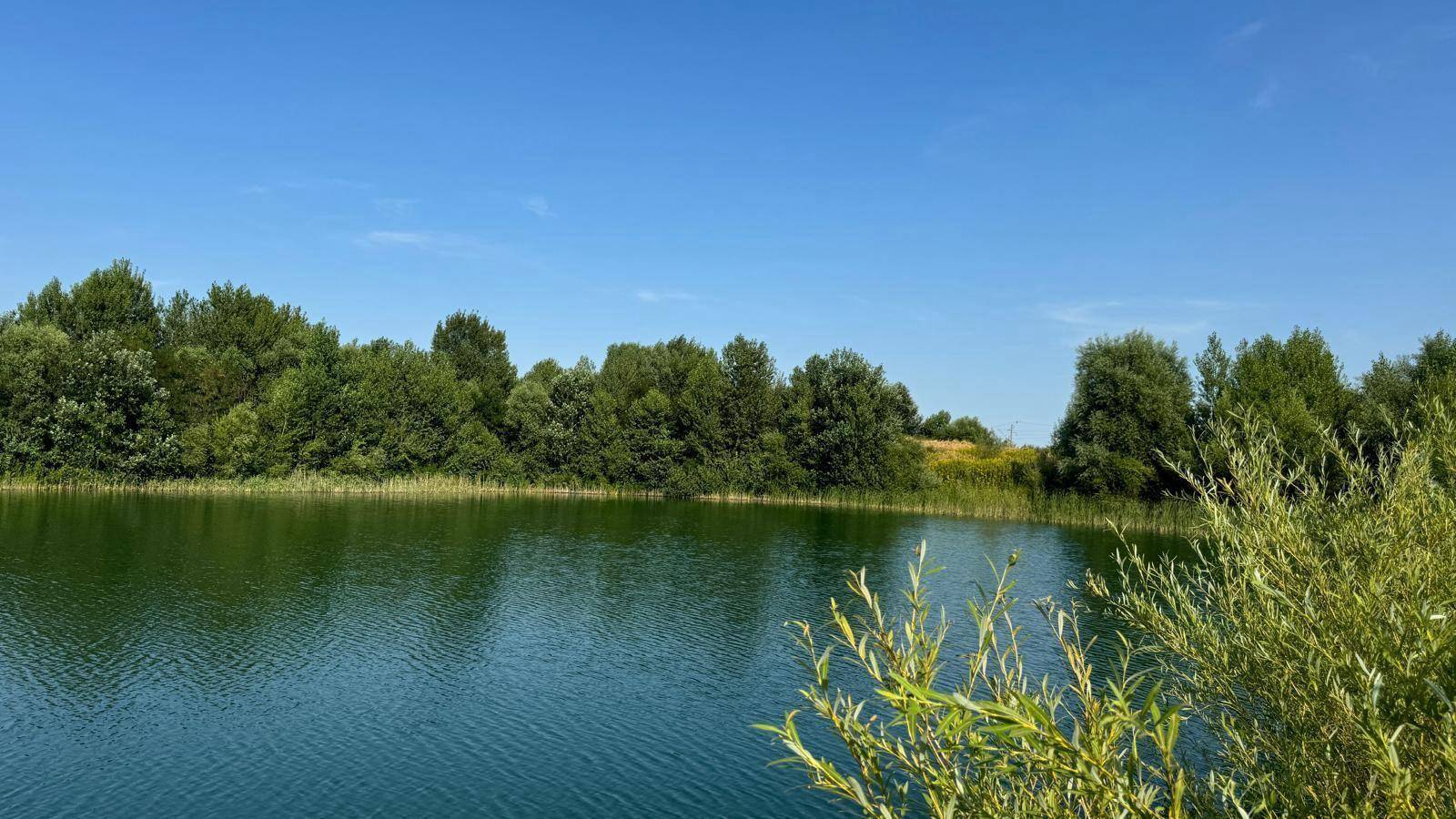 Idyllischer See mit grünen Bäumen am gegenüberliegenden Ufer und sonnigem Wetter.