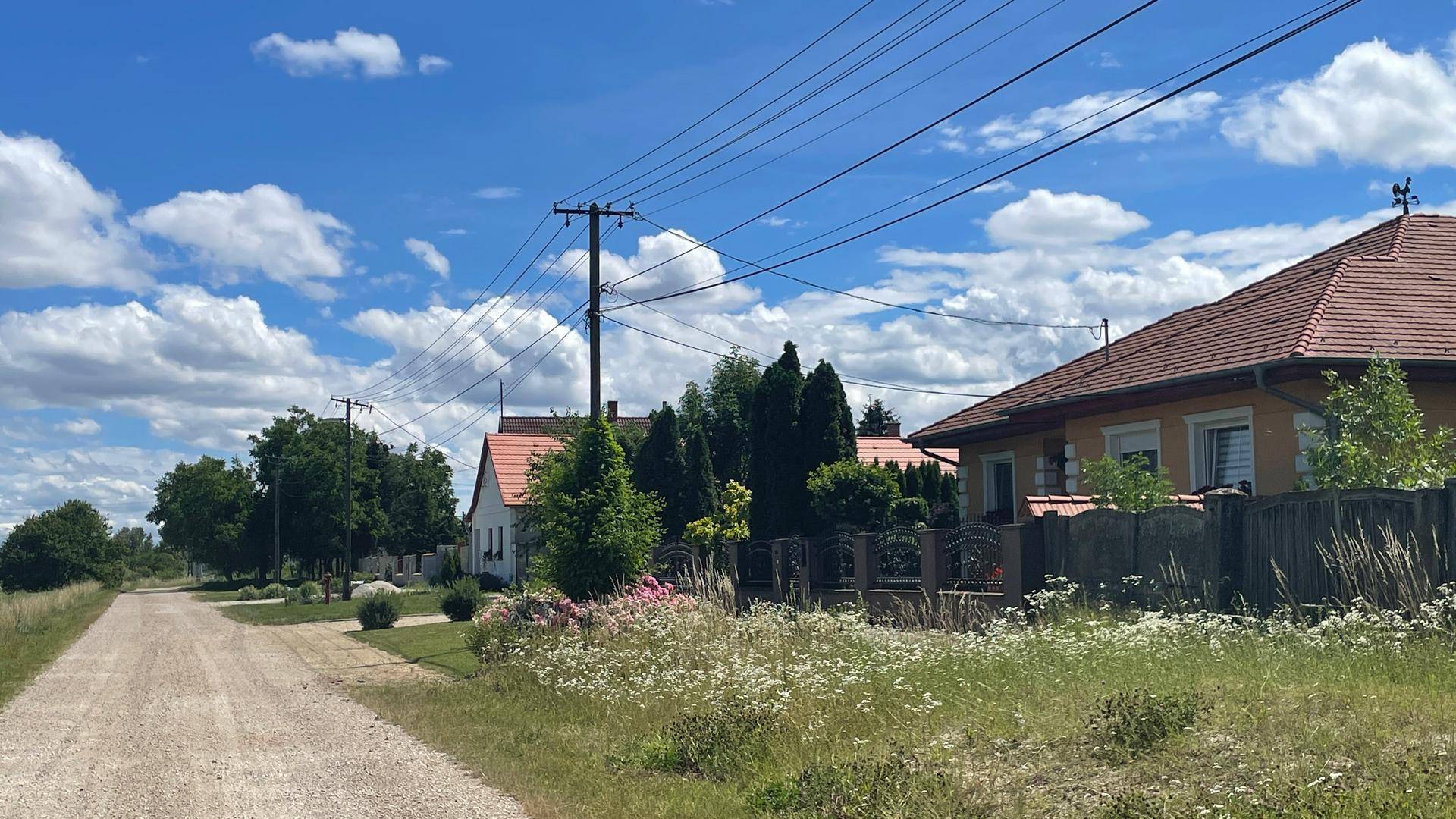 Ländlicher Feldweg führt an traditionellen Häusern vorbei, umgeben von grünen Wiesen und Bäumen.