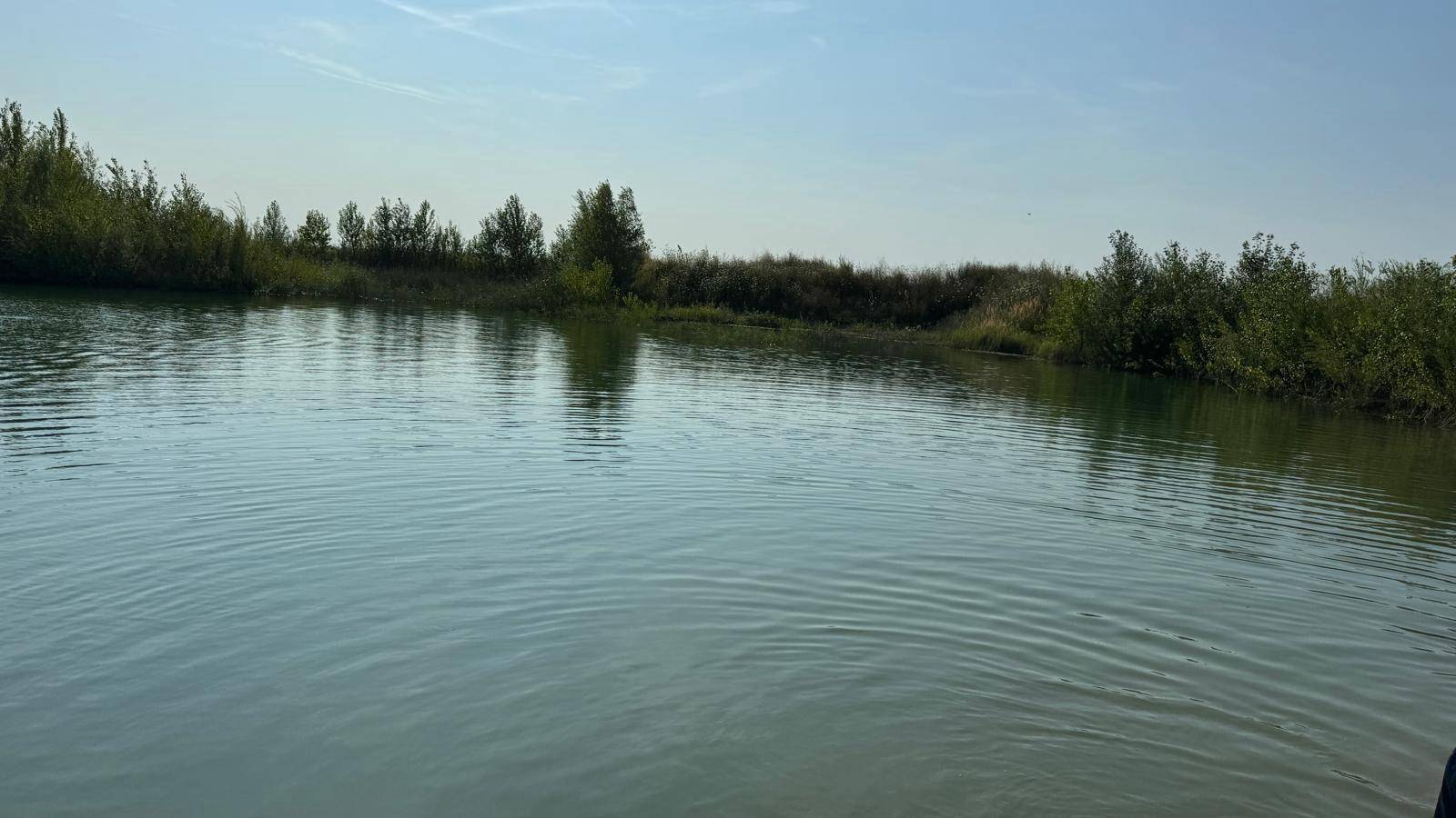 Ruhige Wasseroberfläche eines Sees mit leicht bewachsenem Ufer und klarem Himmel.