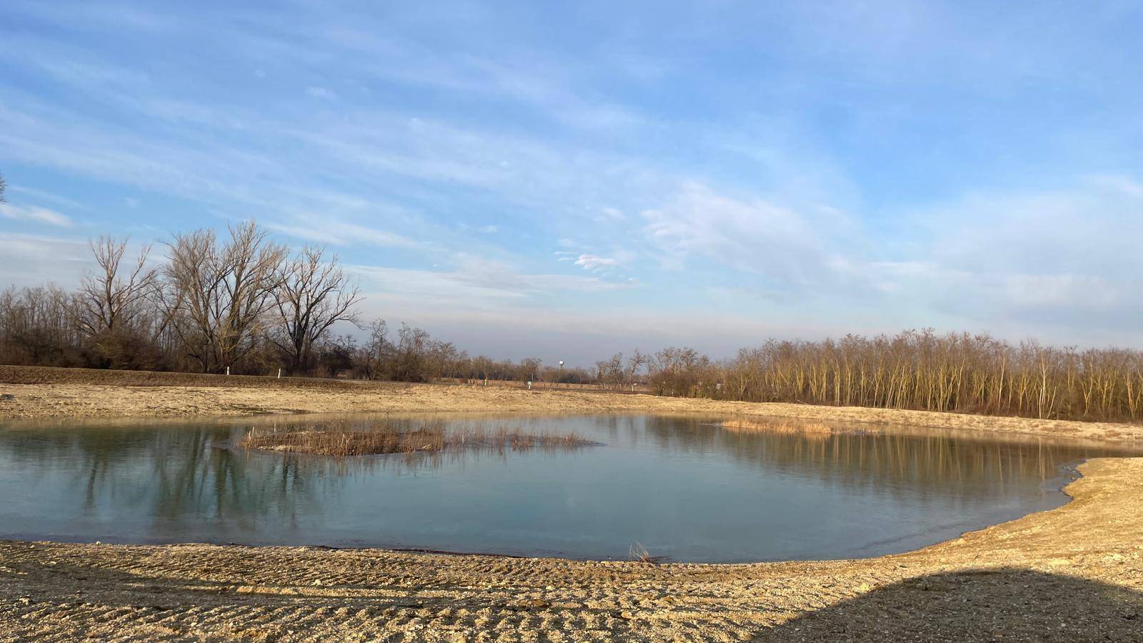 Panoramablick auf einen ruhigen See mit kahlen Bäumen und sandigen Ufern unter einem weiten Himmel.