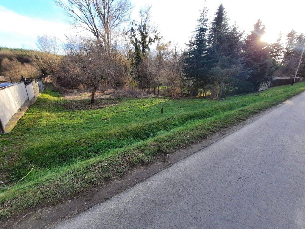 Weitläufige grüne Rasenfläche eines Grundstücks mit Bäumen und einer Straße im Vordergrund.