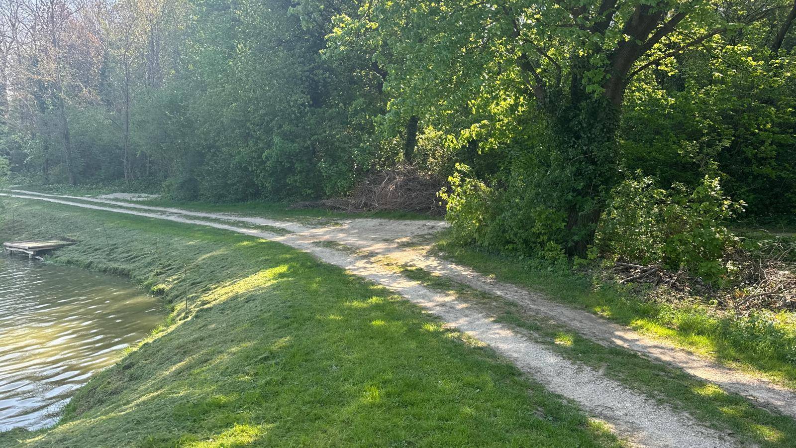 Schotterweg schlängelt sich entlang des Seeufers, umgeben von Bäumen und Grünflächen.