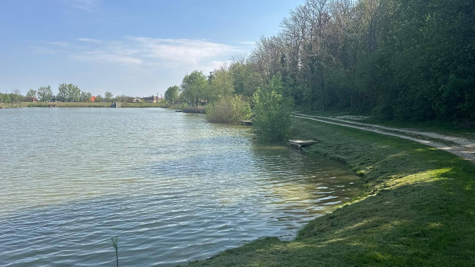 Uferbereich eines Sees mit einem schmalen Pfad und dichtem Wald im Hintergrund.