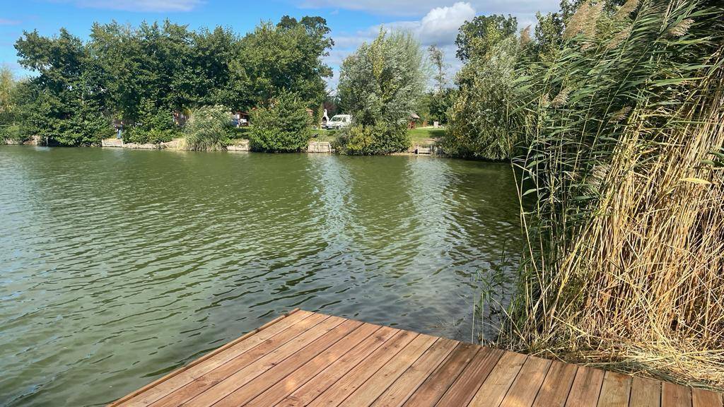 Holzsteg am Seeufer, umgeben von Schilf und Bäumen, mit Blick auf das ruhige Wasser.