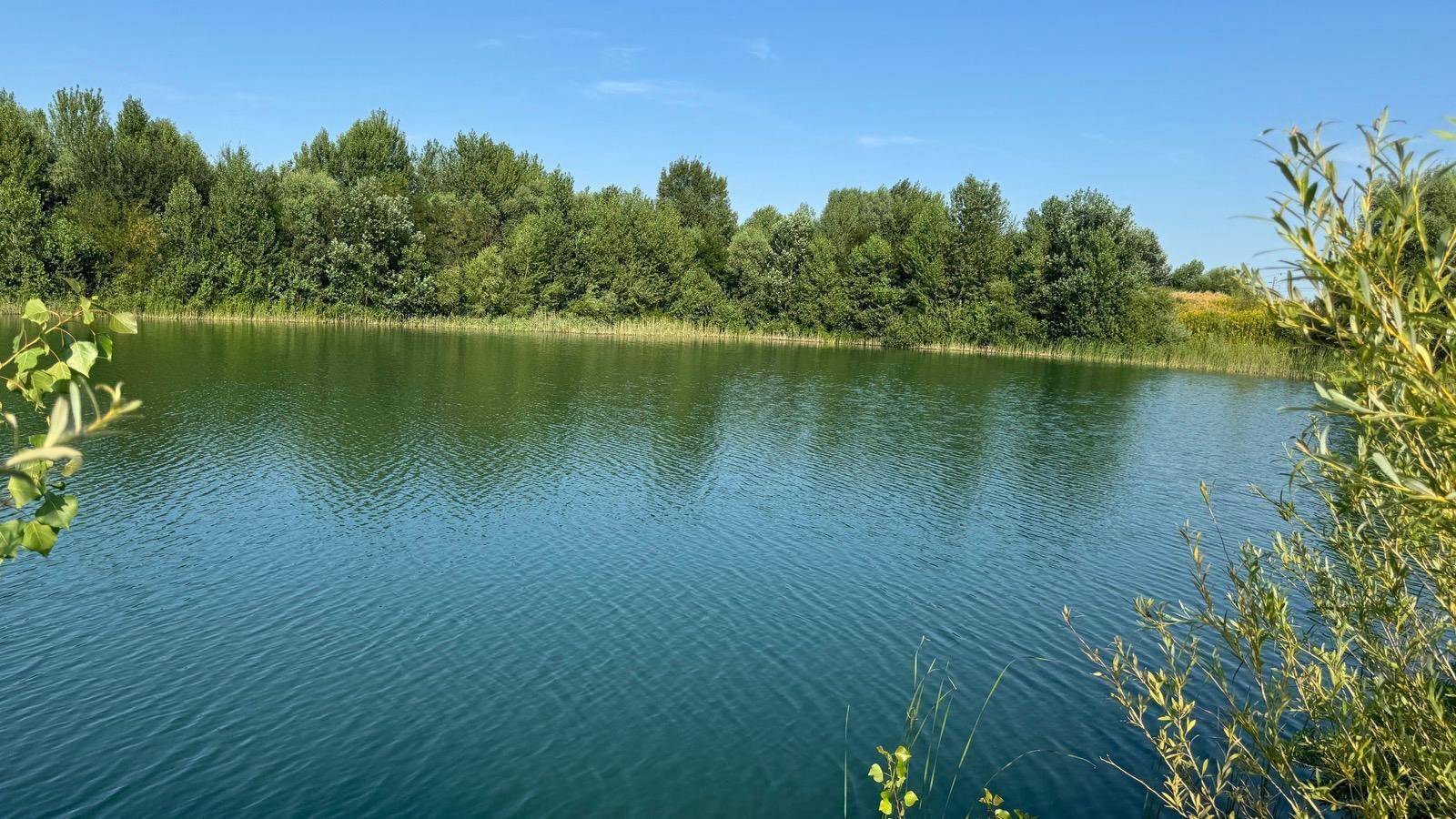 Panoramablick auf den See mit bewaldetem Ufer und spiegelnder Wasseroberfläche an einem sonnigen Tag.