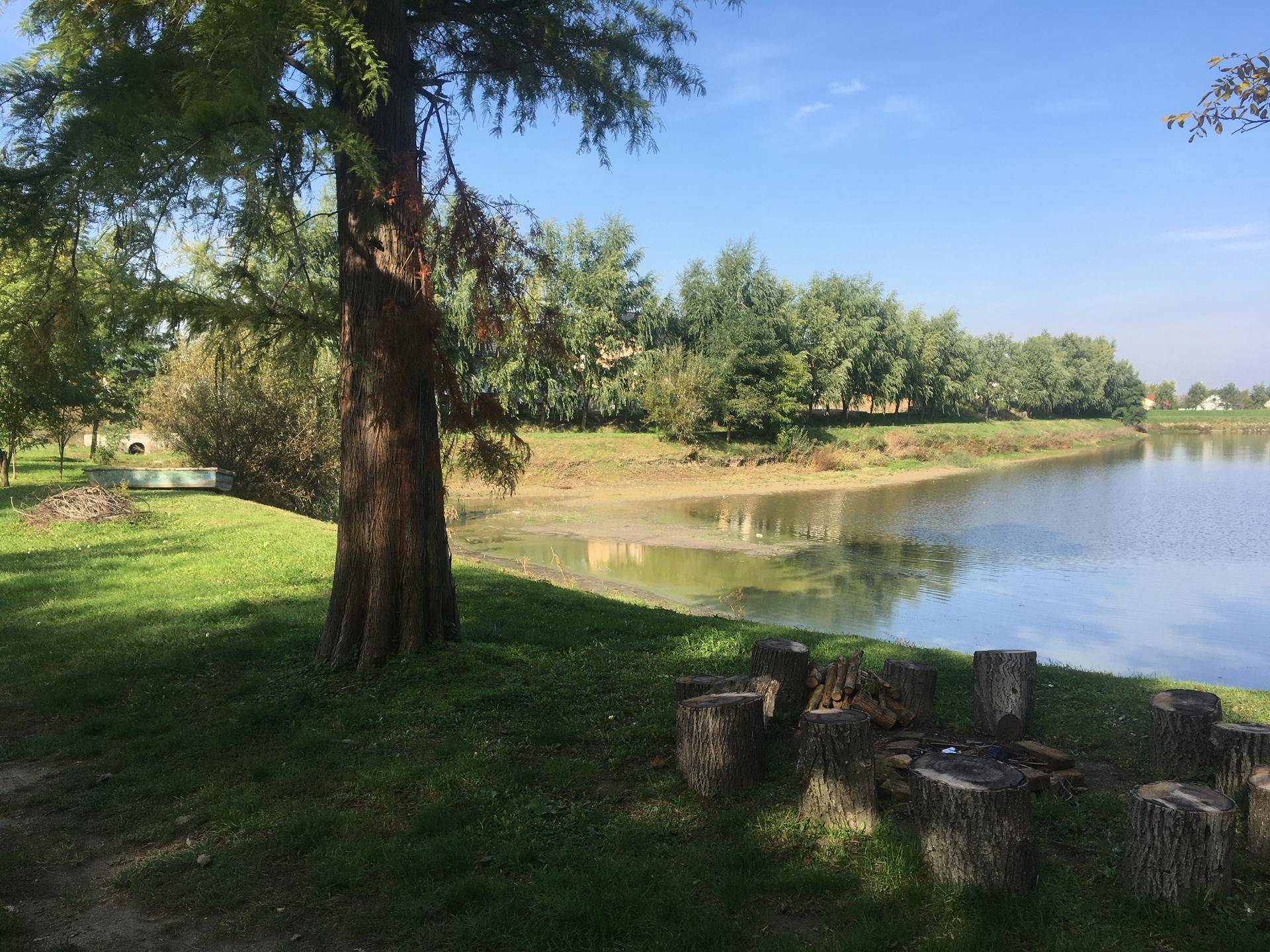 Sonniger Gartenbereich am See mit großem Baum, Rasenfläche und gemütlicher Feuerstelle mit Baumstamm-Sitzgelegenheiten.
