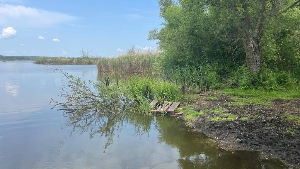 Uferbereich mit schlammigem Boden, einem kleinen Holzsteg und Bäumen am Wasserrand.