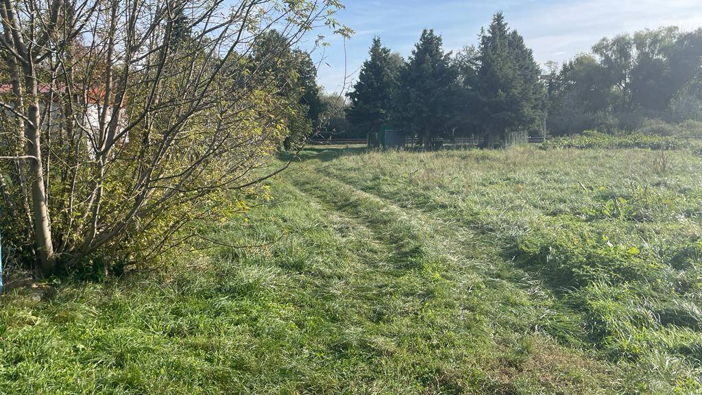 Ungepflegte Wiese mit Fahrspuren, umgeben von Bäumen und Sträuchern unter hellem Himmel.