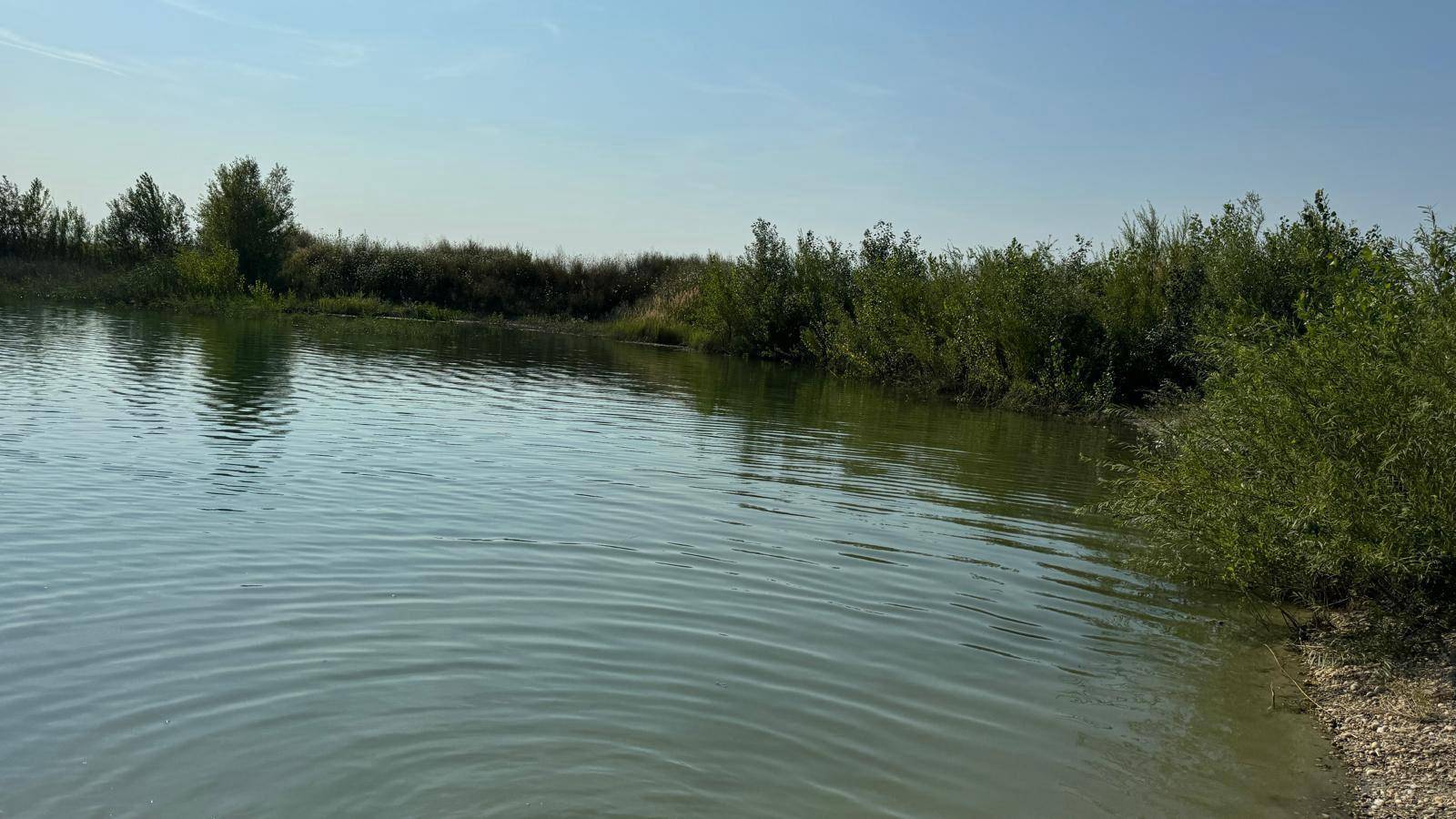 Ruhige Wasseroberfläche eines Sees mit leicht bewachsenem Ufer und klarem Himmel.