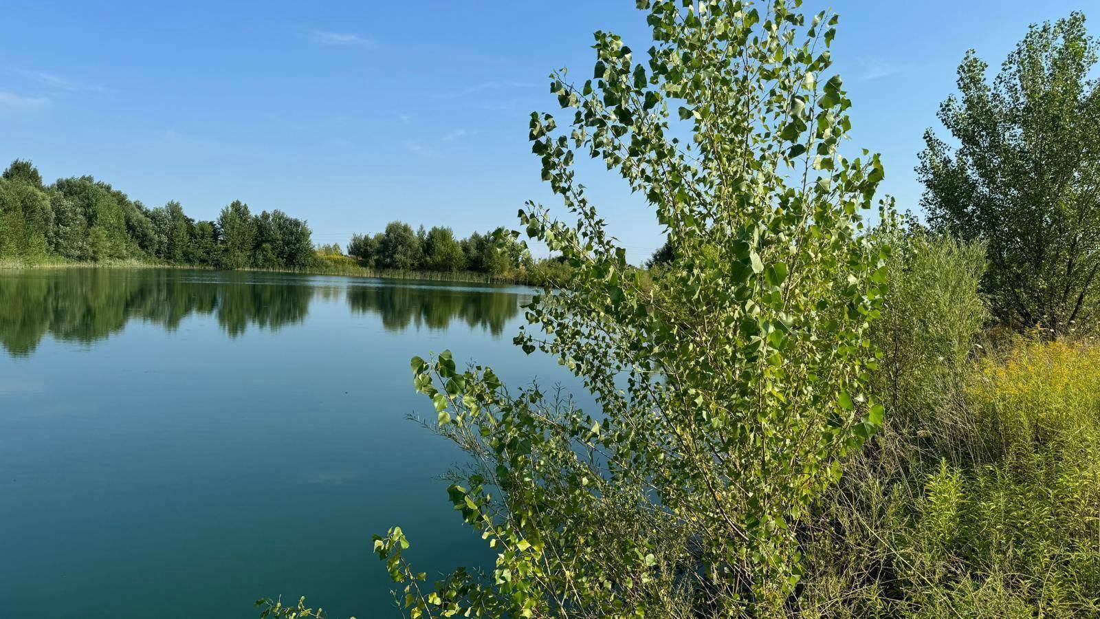Sonniger Blick auf einen See mit üppiger grüner Vegetation und klarem blauen Himmel.