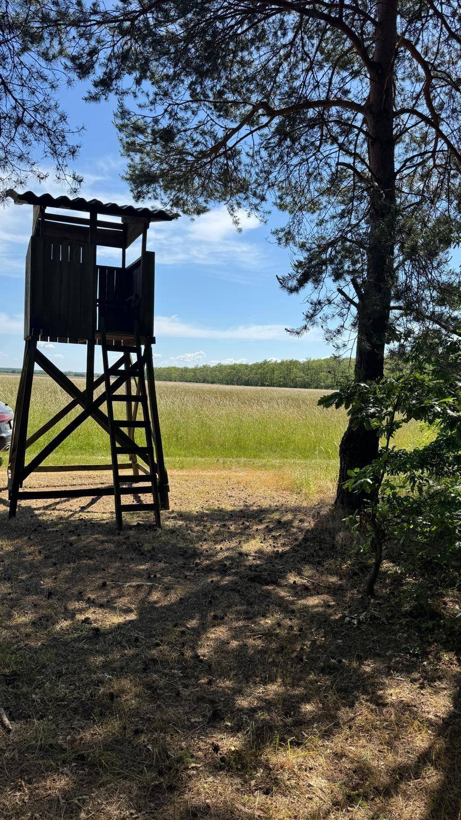 Ein hölzerner Hochsitz steht am Rande eines Feldes mit Blick auf den angrenzenden Wald.