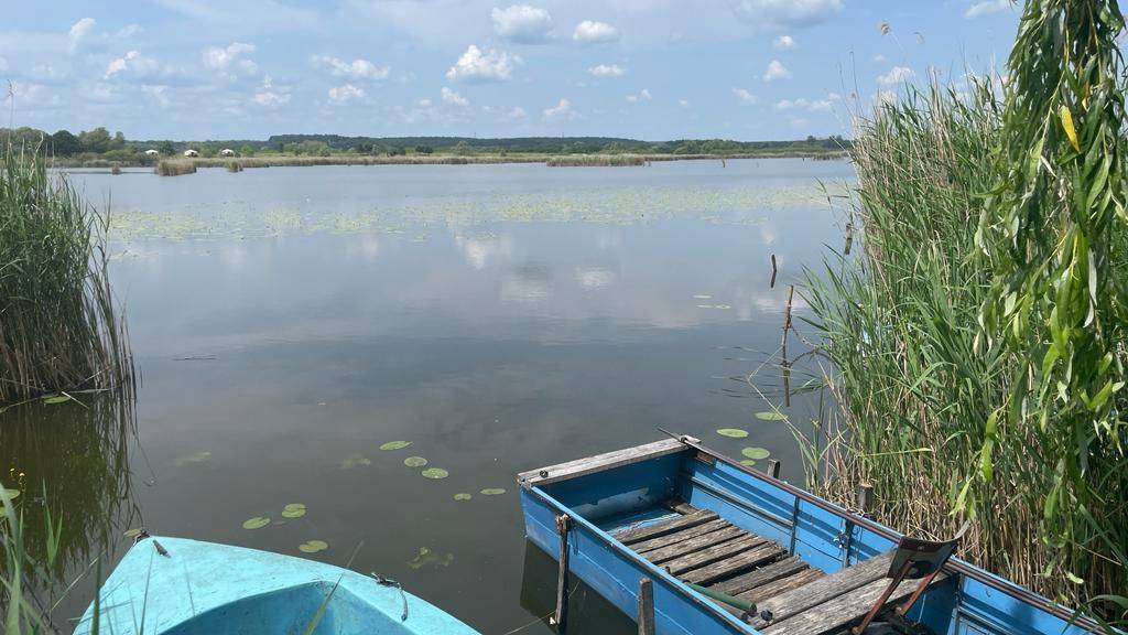 Zwei blaue Boote auf dem ruhigen See, umgeben von Schilf und Seerosen.