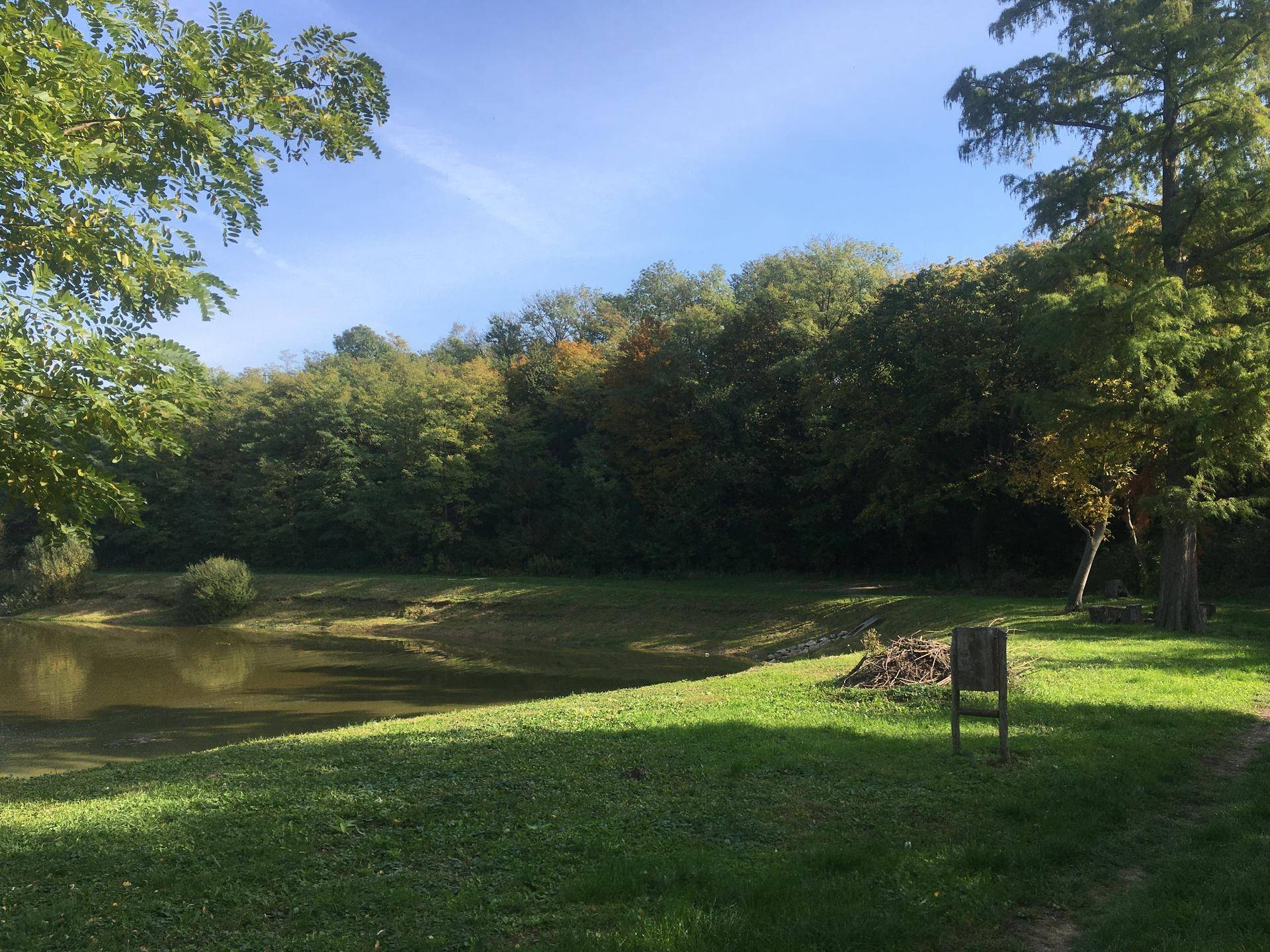 Weitläufiger See mit grünen Ufern und Bäumen unter strahlend blauem Himmel.