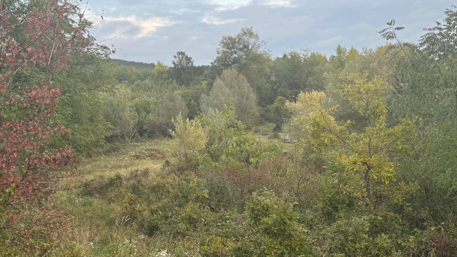 Hügelige Landschaft mit Bäumen und Wiesen unter bewölktem Himmel, ideal für Naturliebhaber.