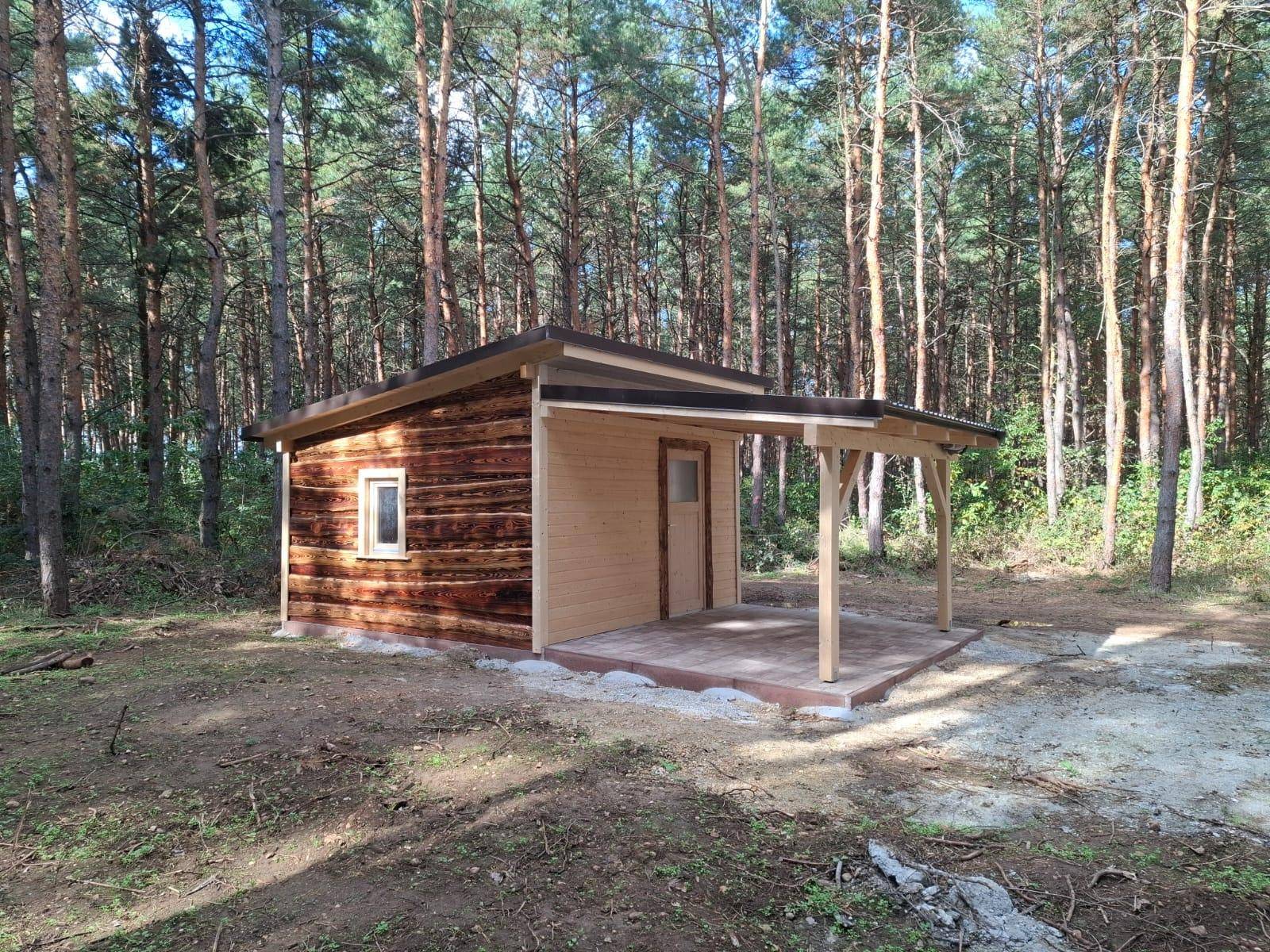 Charmante Holzhütte mit kleiner Tür und überdachtem Vorbereich, eingebettet in die Waldlandschaft.