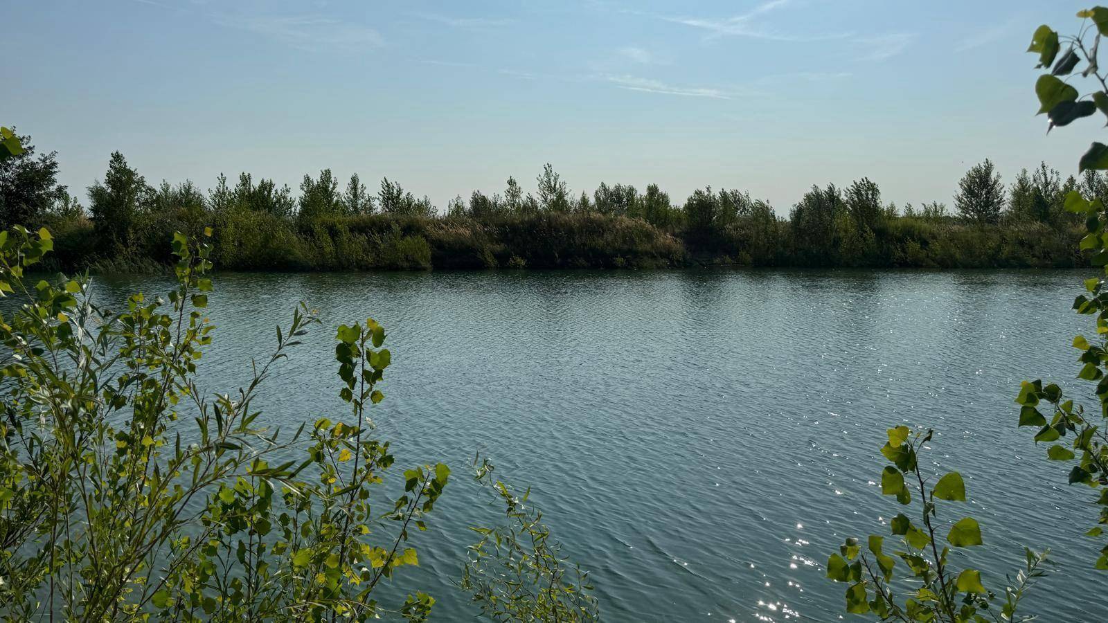 Sonniger See mit glitzernder Wasseroberfläche, umgeben von grünen Büschen und Bäumen.