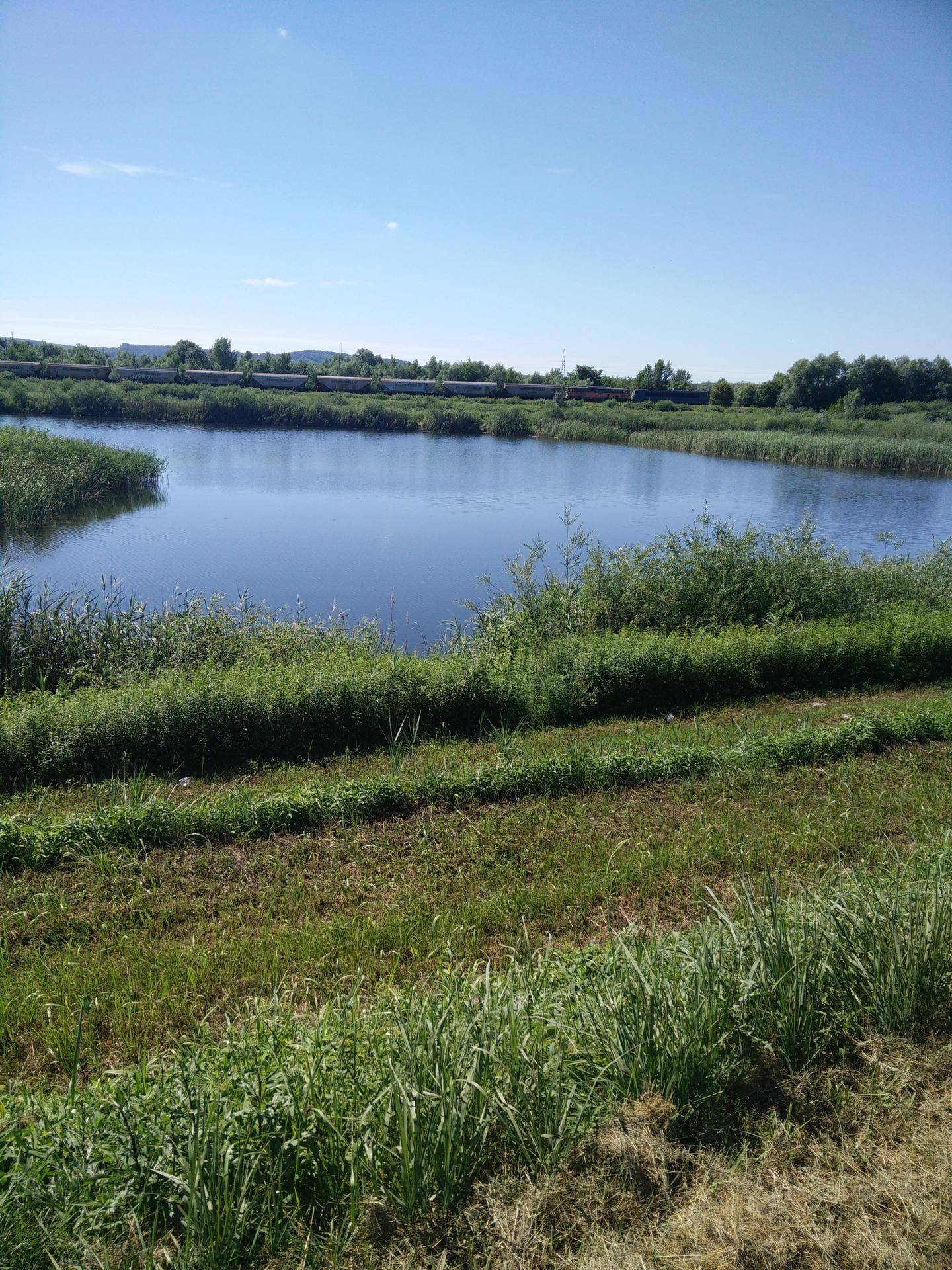Ein sonniger Tag am See, umgeben von hohem Schilf und grünen Ufern.