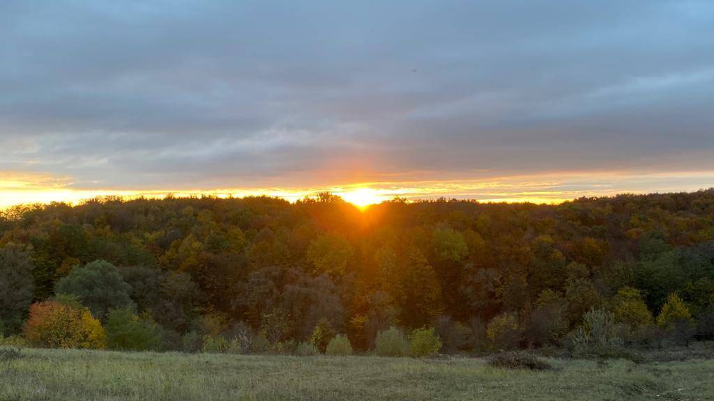 Sonnenuntergang über einem weiten Waldgebiet und einem Feld mit herbstlichen Farben.