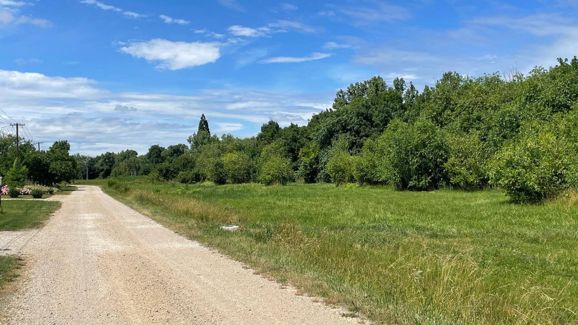 Unbefestigter Weg schlängelt sich durch weite grüne Felder mit einem Waldrand in der Ferne.