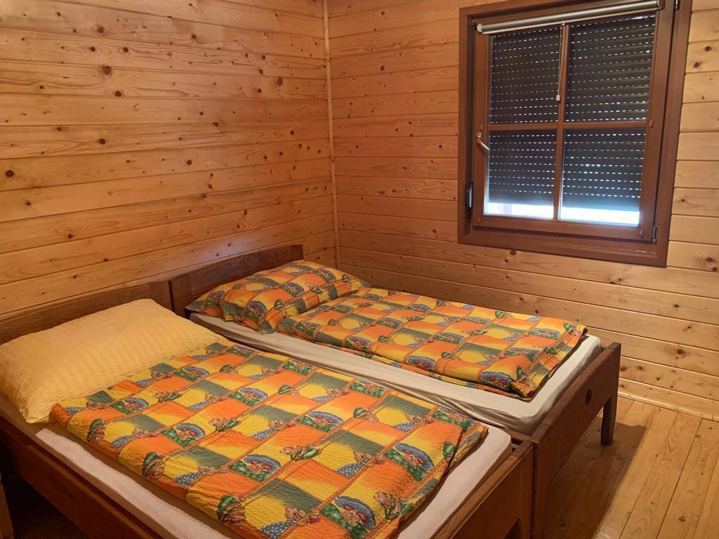 Gemütliches Schlafzimmer mit zwei Einzelbetten und rustikalen Holzpaneelen an den Wänden und Rollladen.