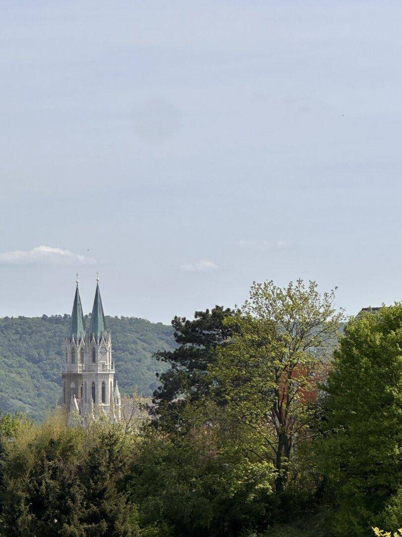 Blick auf eine historische Kirche mit zwei Türmen, umgeben von grünen Bäumen und Hügeln.