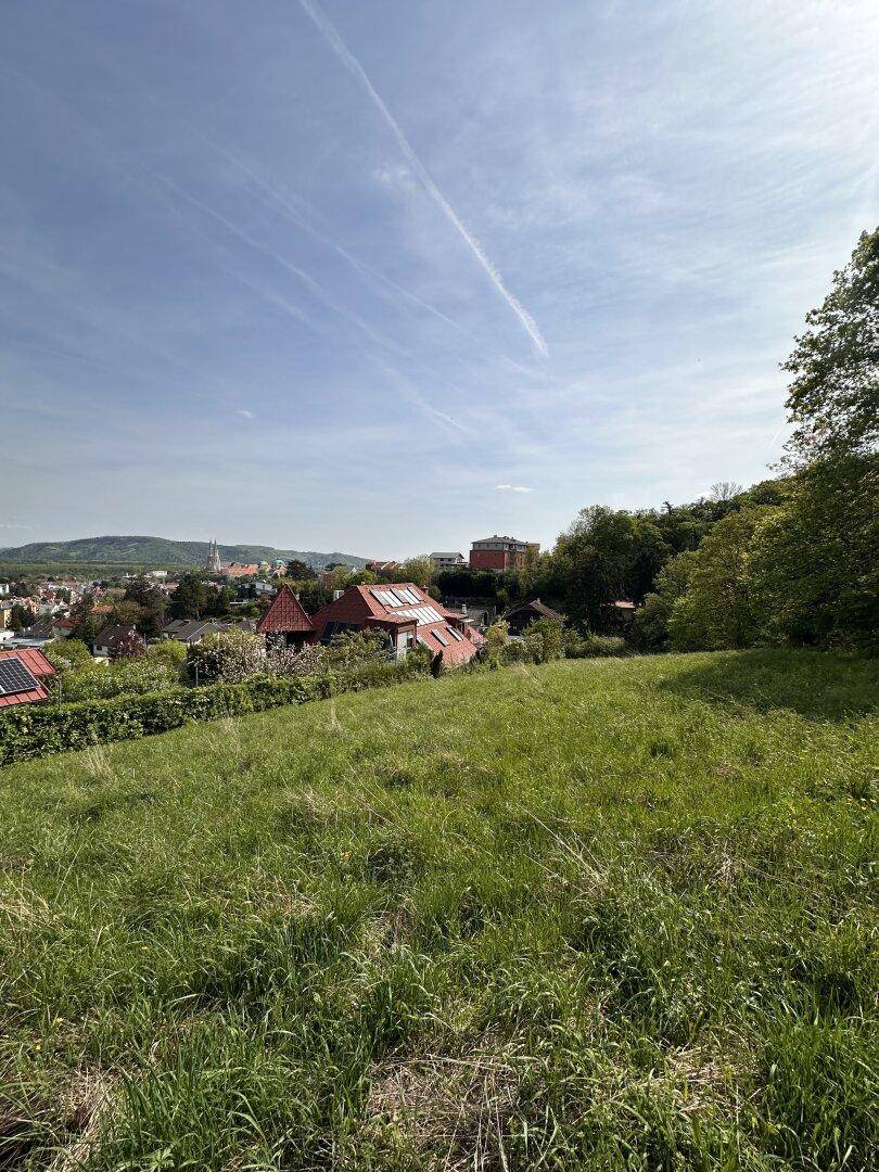 Panoramablick über eine grüne Wiese auf eine Siedlung und die dahinterliegende Stadt.