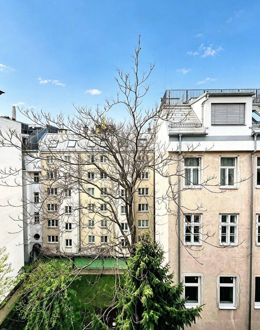 Blick auf die umliegenden Gebäude und einen Baum von einem oberen Stockwerk.