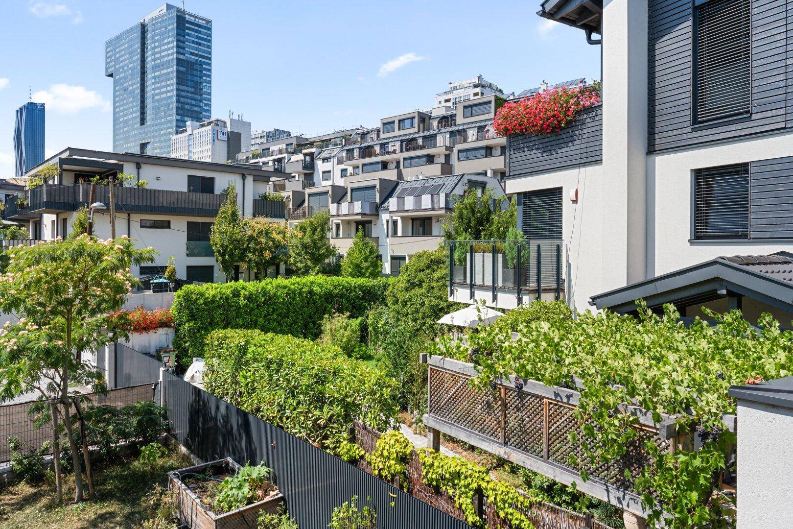Gepflegter Gartenbereich mit Hecken, Pflanzen und Blick auf moderne Stadtgebäude.