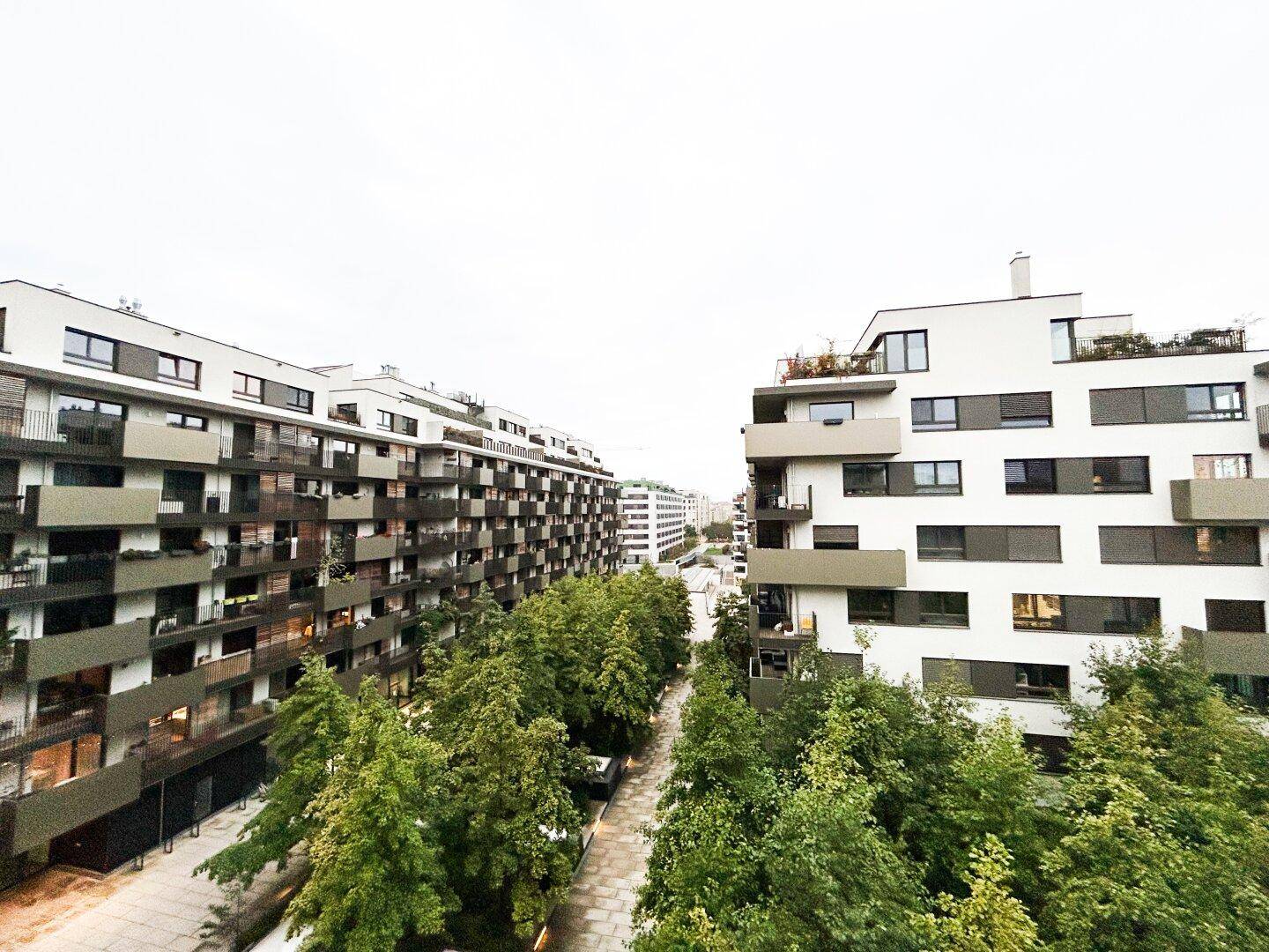Weitläufiger Blick auf moderne Wohngebäude und grüne Baumreihen in der Stadt.