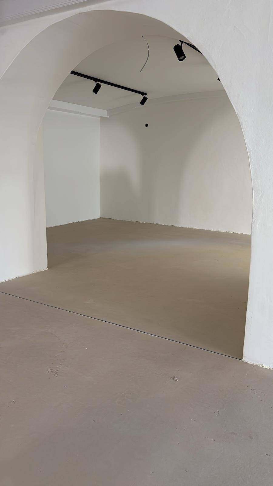 Leerer Raum mit weiß gestrichenen Wänden, einem großen Bogen und moderner Schienenbeleuchtung an der Decke.