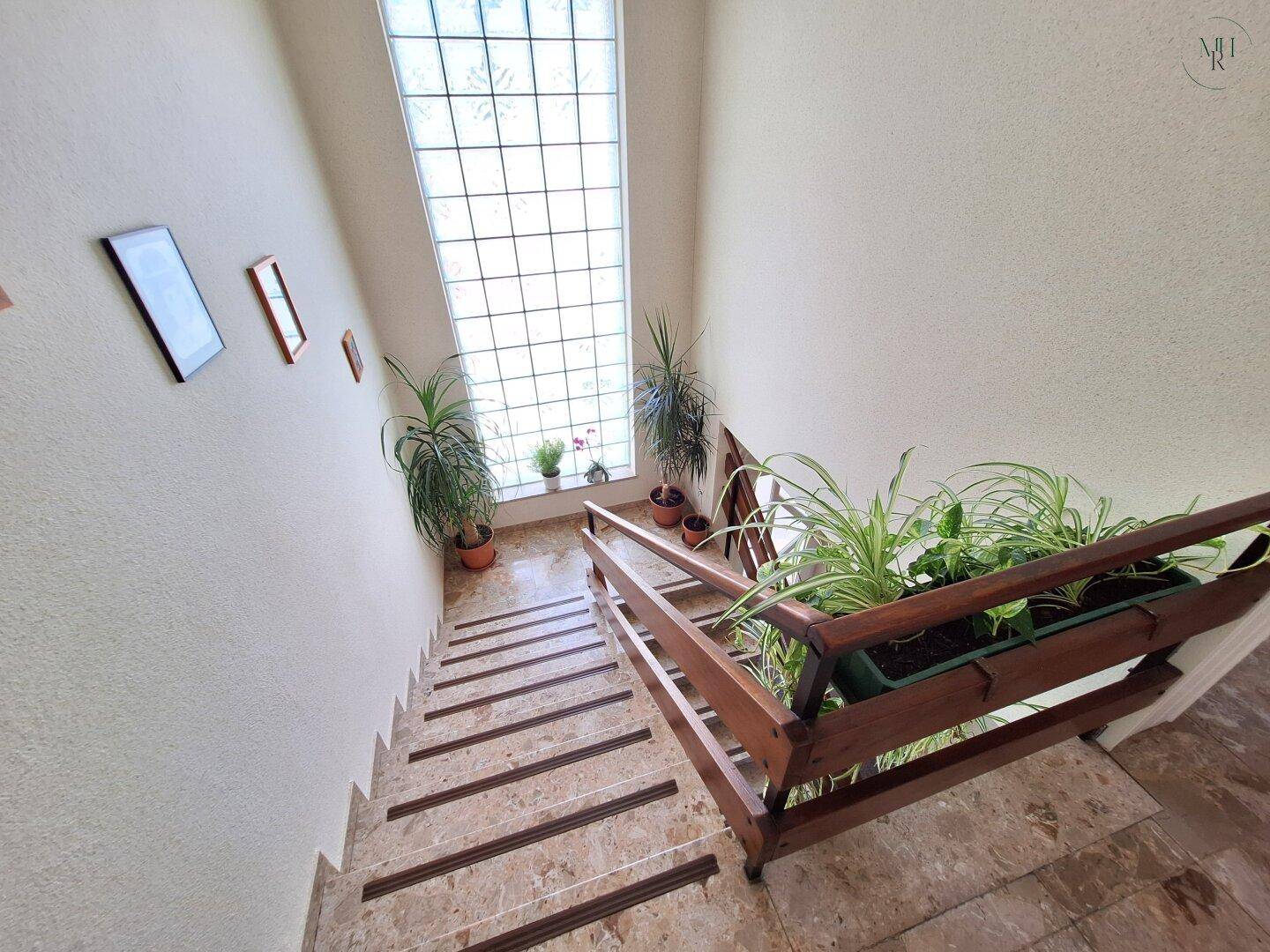 Treppenhaus mit Pflanzen und einem hohen Glasbausteinfenster, das viel Tageslicht hereinlässt.