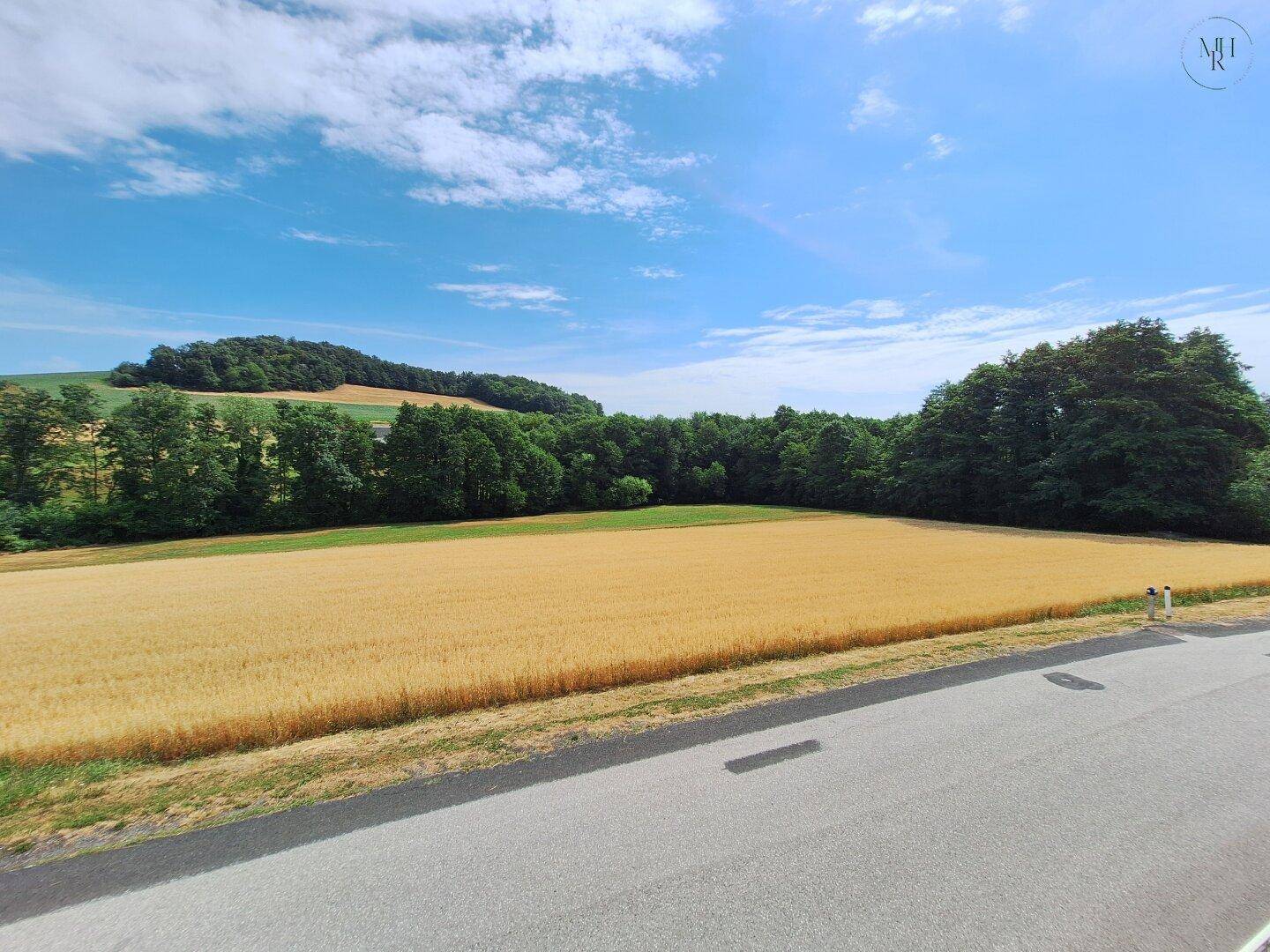 Weitläufiger Blick über goldene Felder und grüne Wälder unter blauem Himmel, eine idyllische Landschaft.