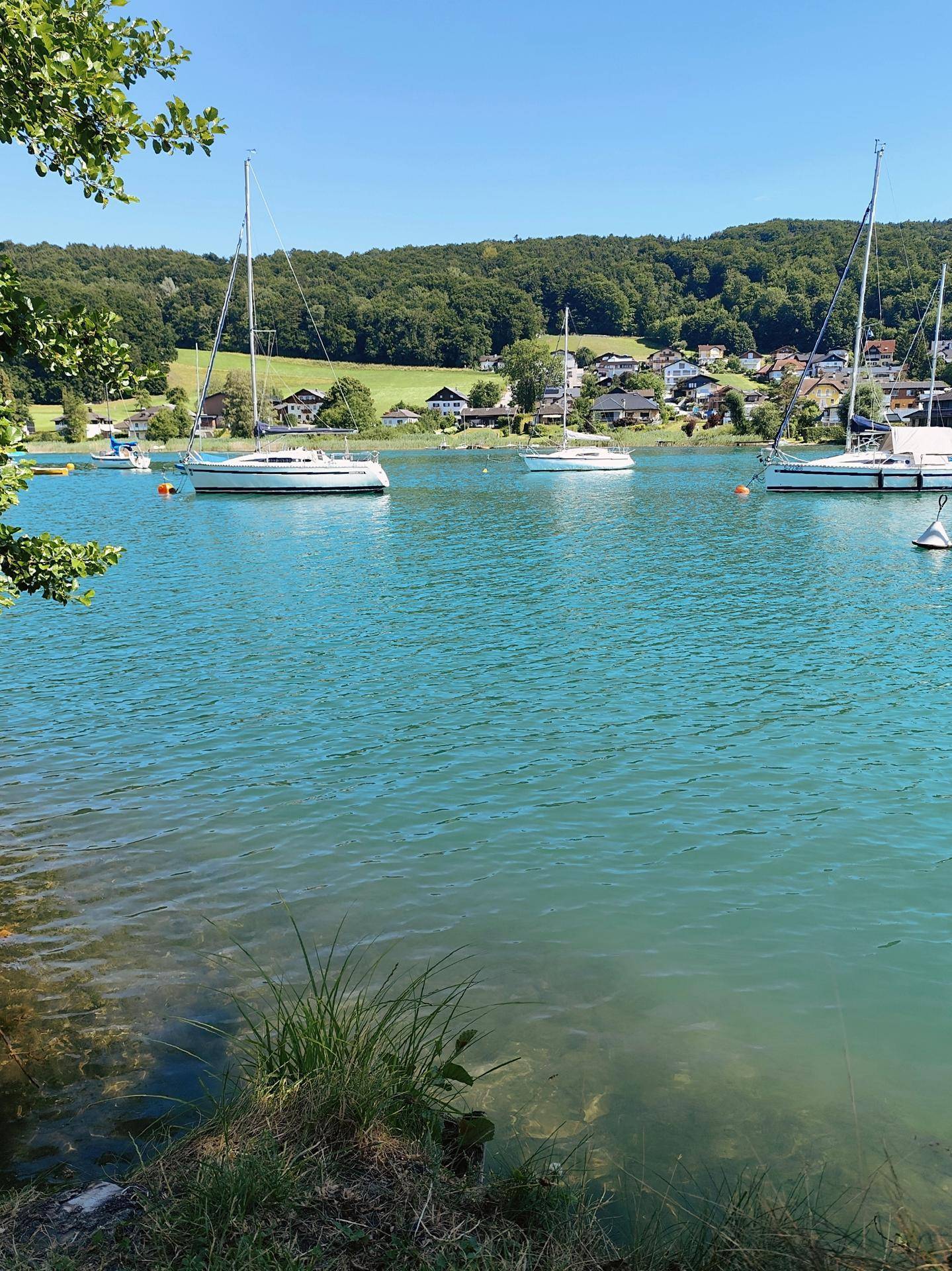 Malerischer Seeblick mit Segelbooten und bewaldeten Hügeln im Hintergrund unter blauem Himmel.