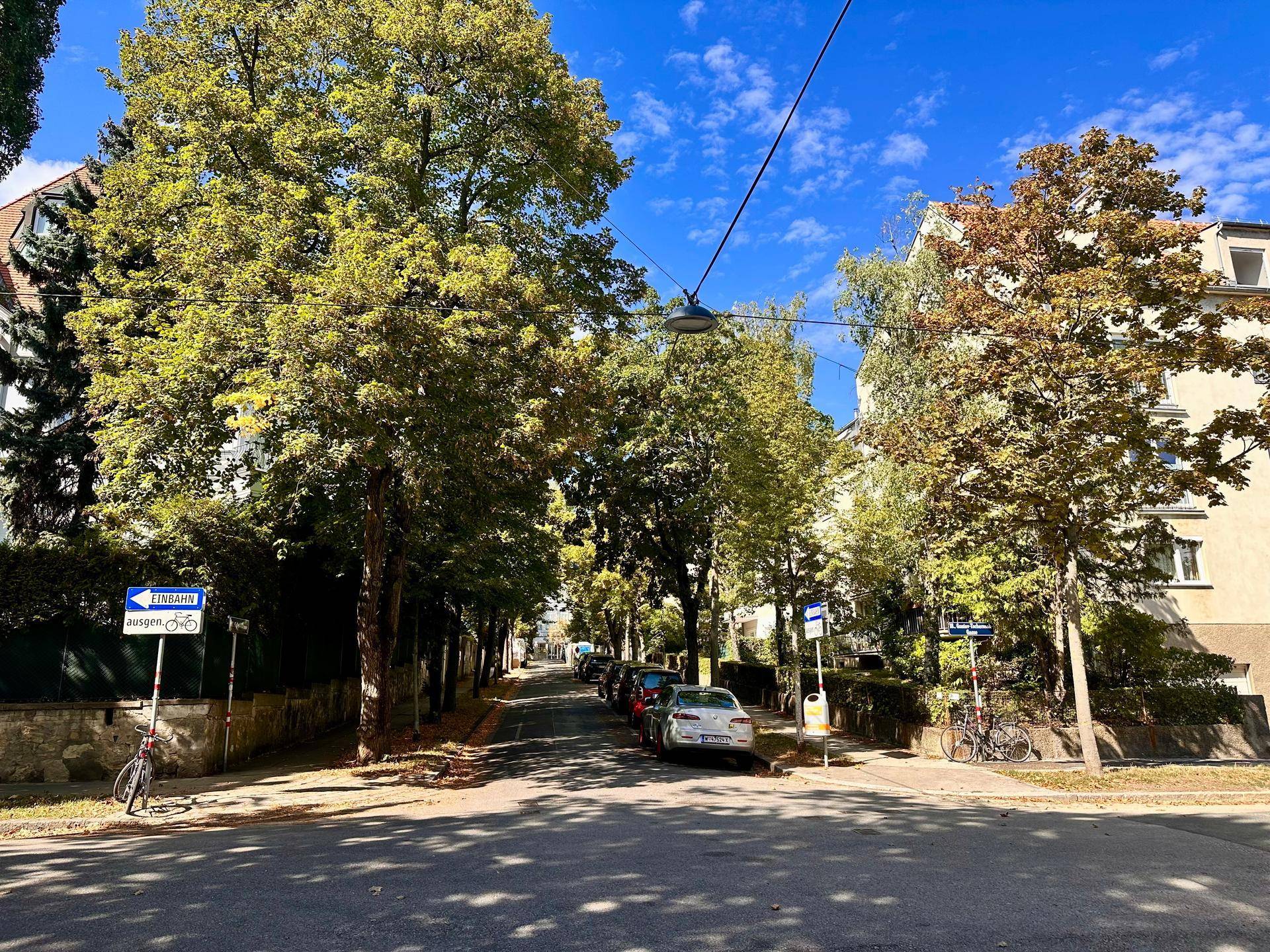 Baumgesäumte Wohnstraße mit parkenden Fahrzeugen und Gebäuden unter blauem Himmel.