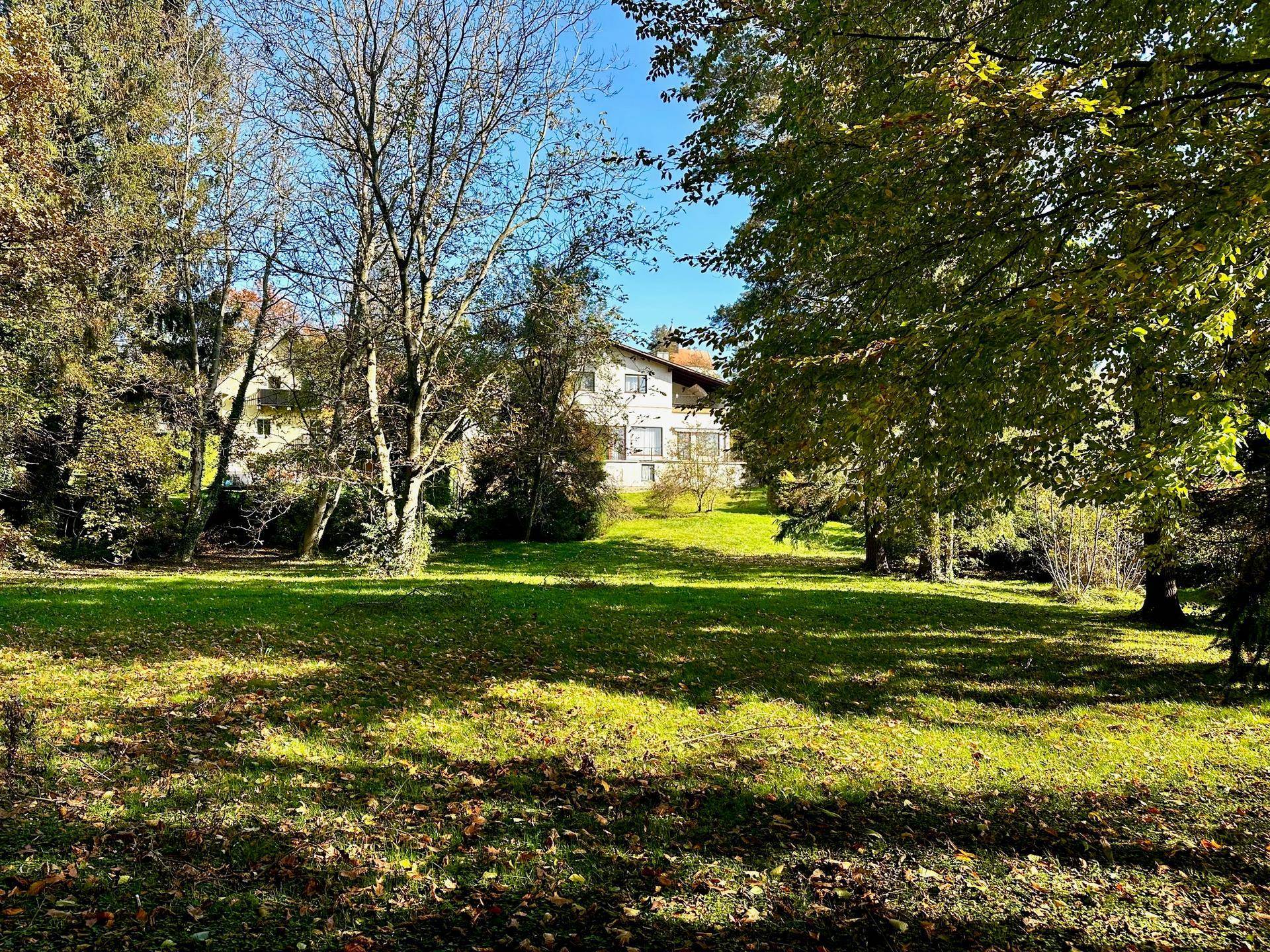 Großzügiger Gartenbereich mit altem Baumbestand und Blick auf das Wohnhaus unter blauem Himmel.