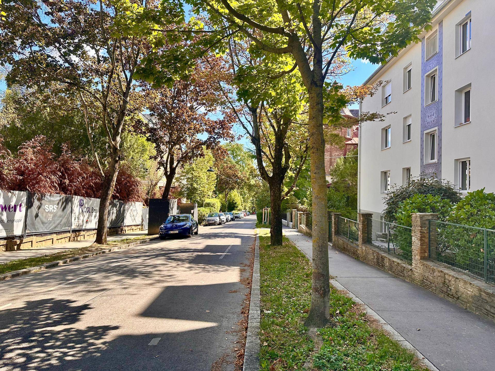 Ruhige Wohnstraße mit Bäumen, parkenden Autos und einem Mehrfamilienhaus.