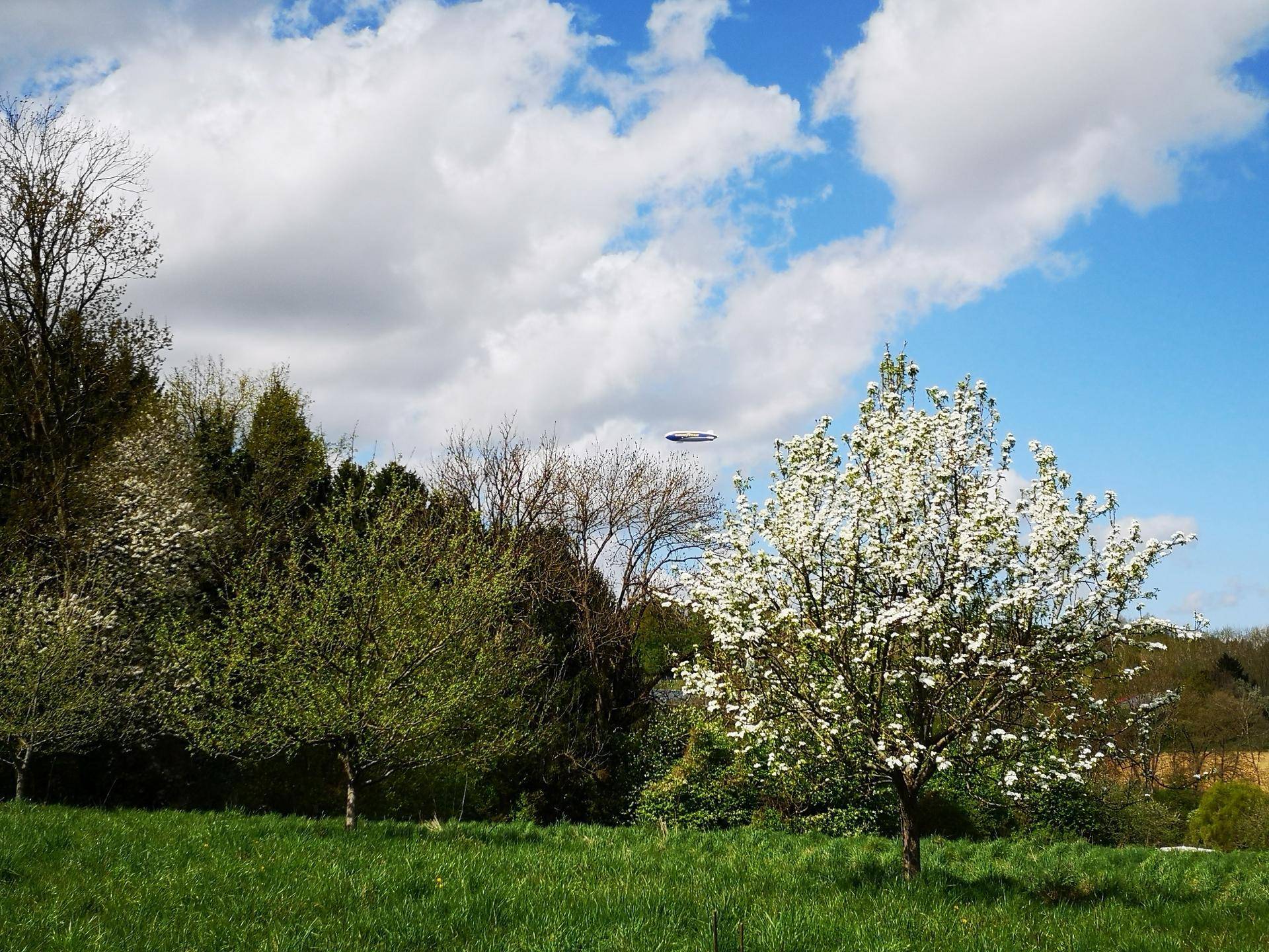 Grüne Landschaft mit blühenden Bäumen unter blauem Himmel und Wolken, mit einem Zeppelin in der Ferne.