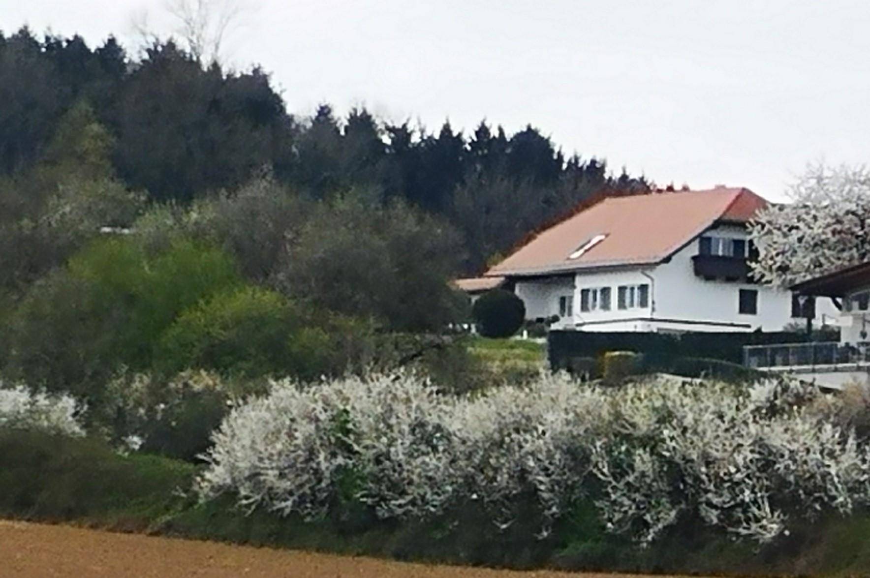 Haus in ländlicher Umgebung, umgeben von blühenden Sträuchern und Bäumen unter bewölktem Himmel.
