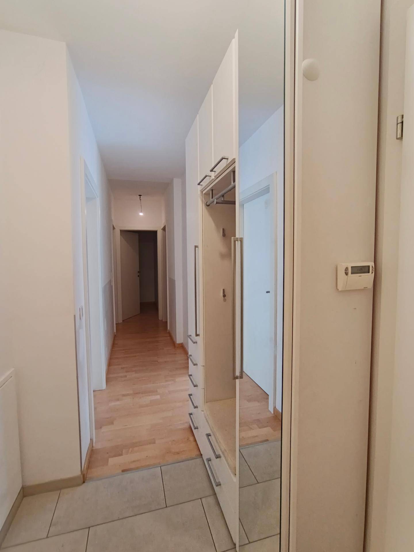 Eingangsbereich mit integriertem Spiegelschrank und Holzboden, der zu den Wohnräumen führt.