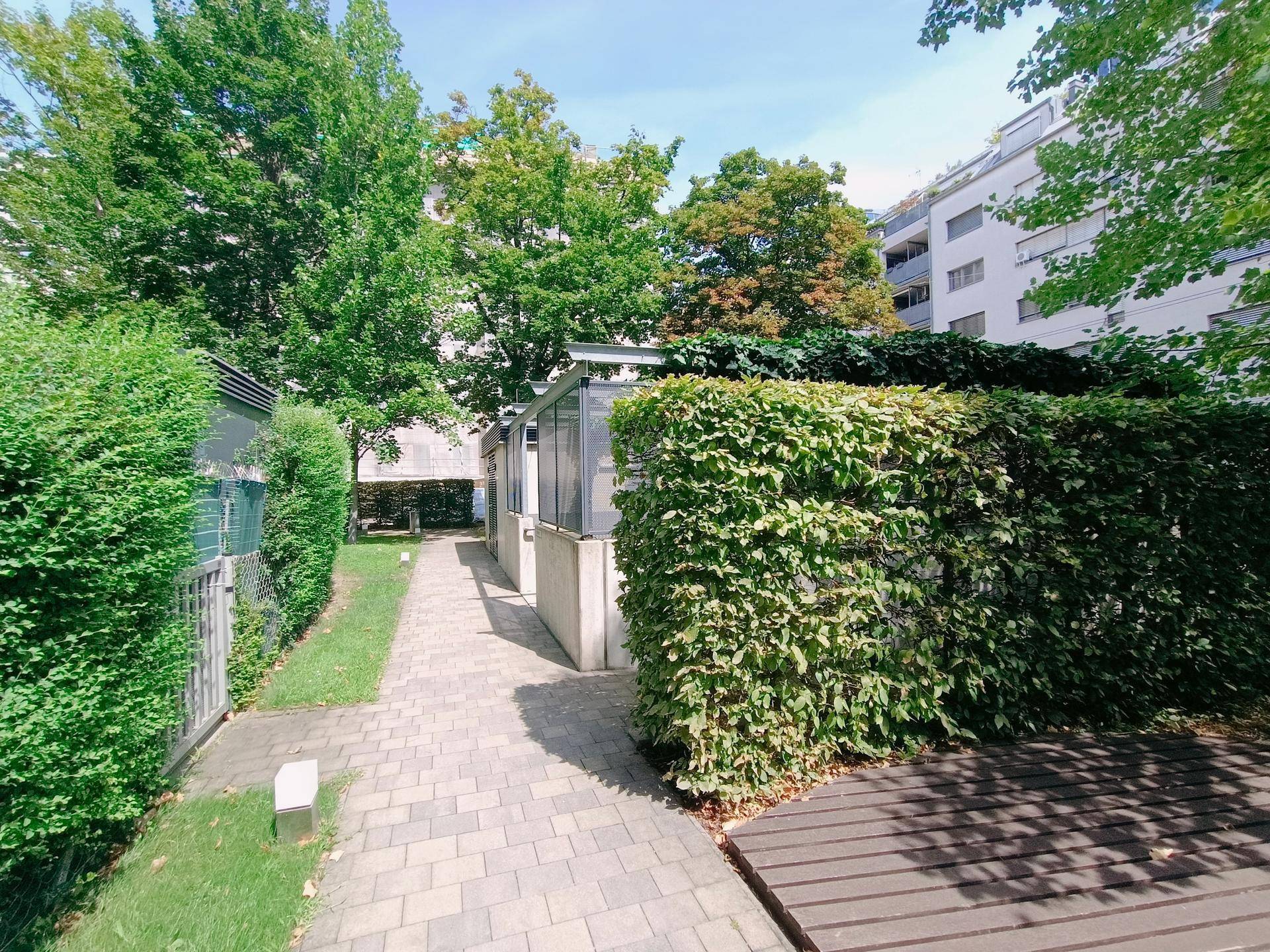 Gepflasterter Weg entlang eines Gebäudes, gesäumt von einer hohen Hecke und Bäumen.