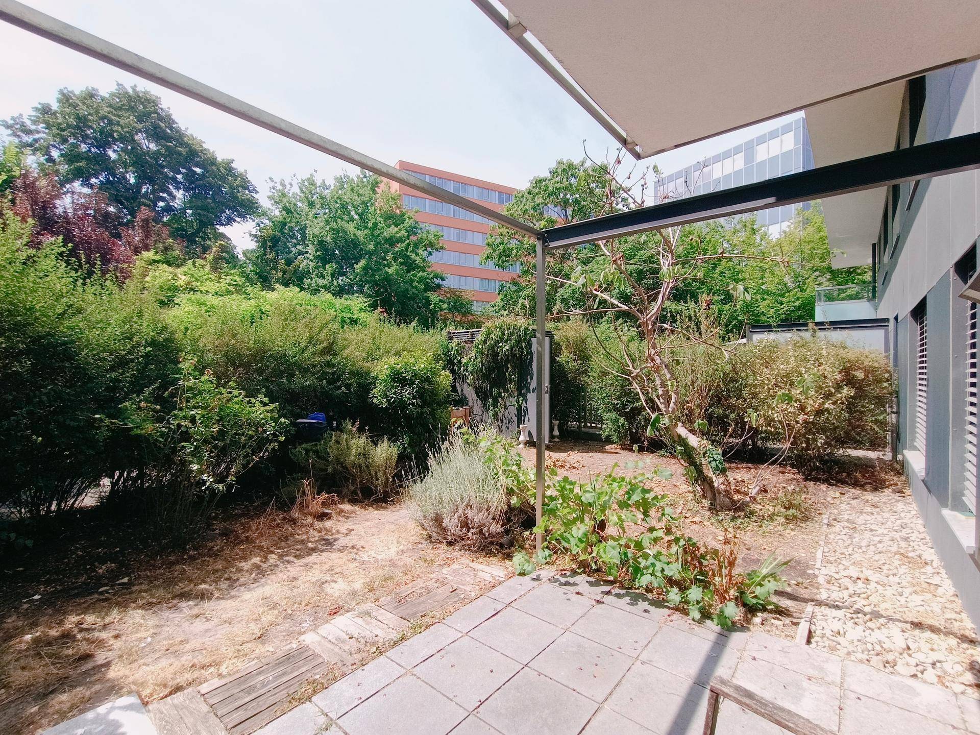 Sonniger Gartenbereich mit Terrasse und üppiger Bepflanzung, umgeben von modernen Gebäuden.