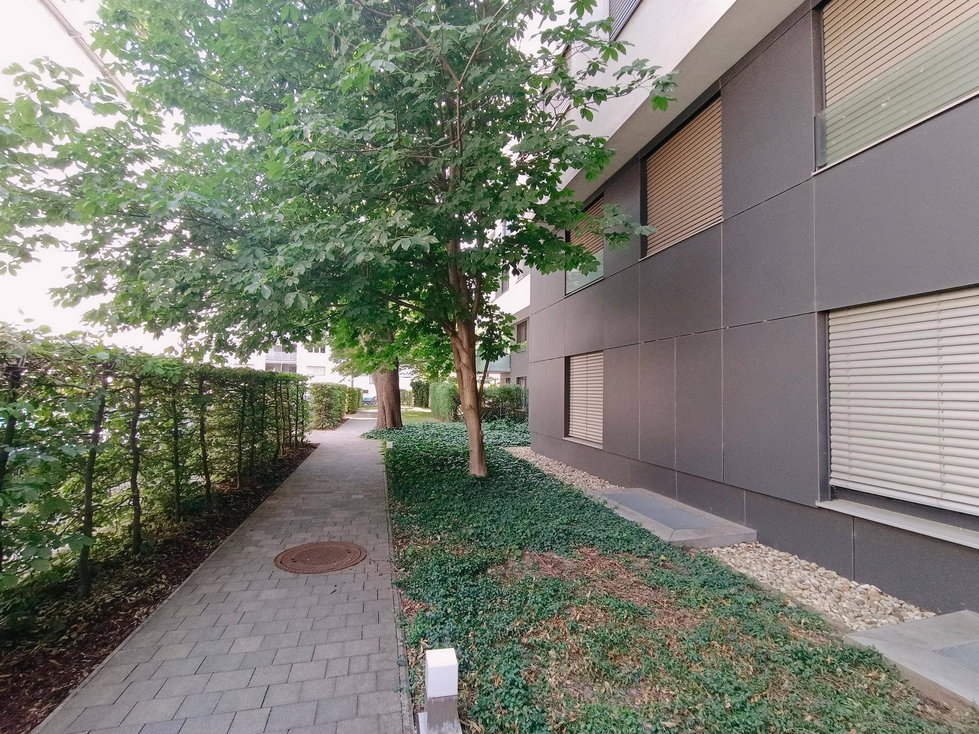 Gepflasterter Weg entlang einer modernen Gebäudefassade mit Hecken und Bodendeckern.
