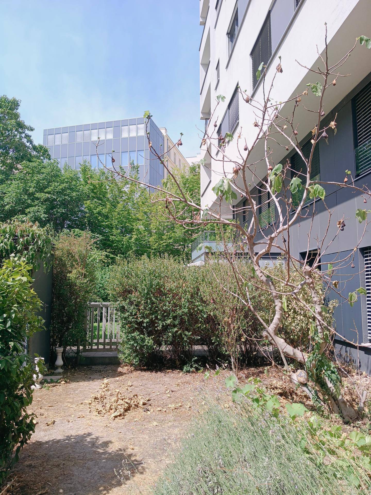 Gepflegter Gartenbereich mit Bäumen und Sträuchern, der eine ruhige Atmosphäre schafft.