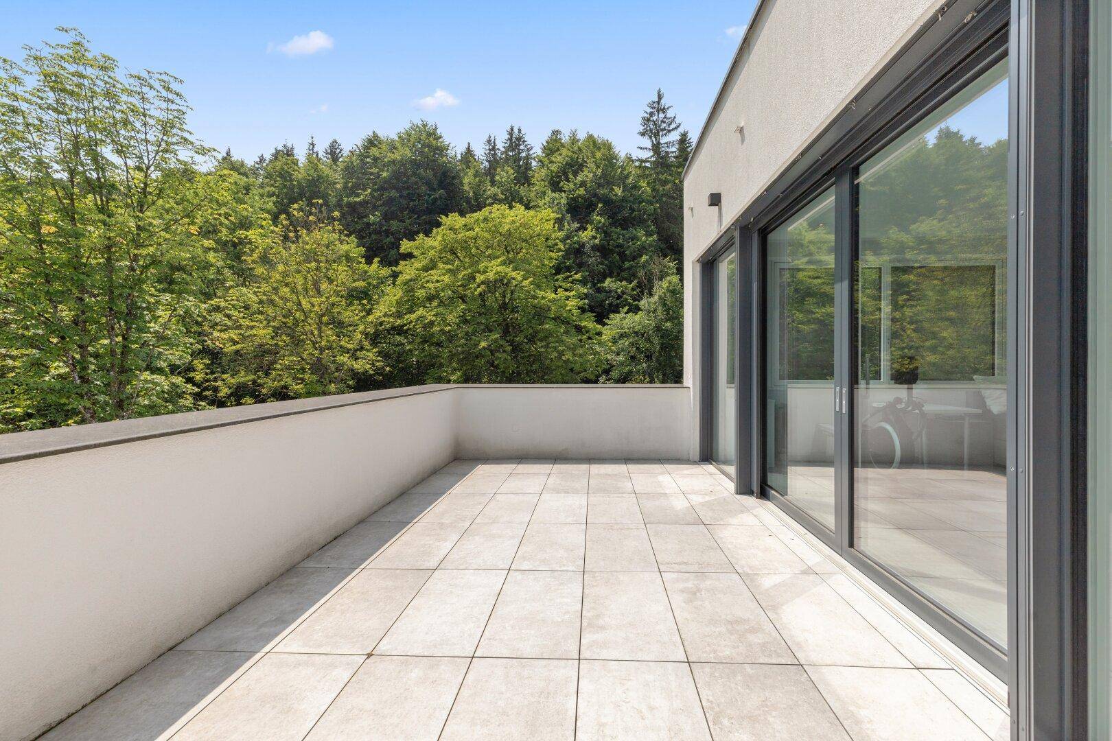 Sonniger Terrassenbereich mit großen Schiebetüren und Blick auf die bewaldete Landschaft.
