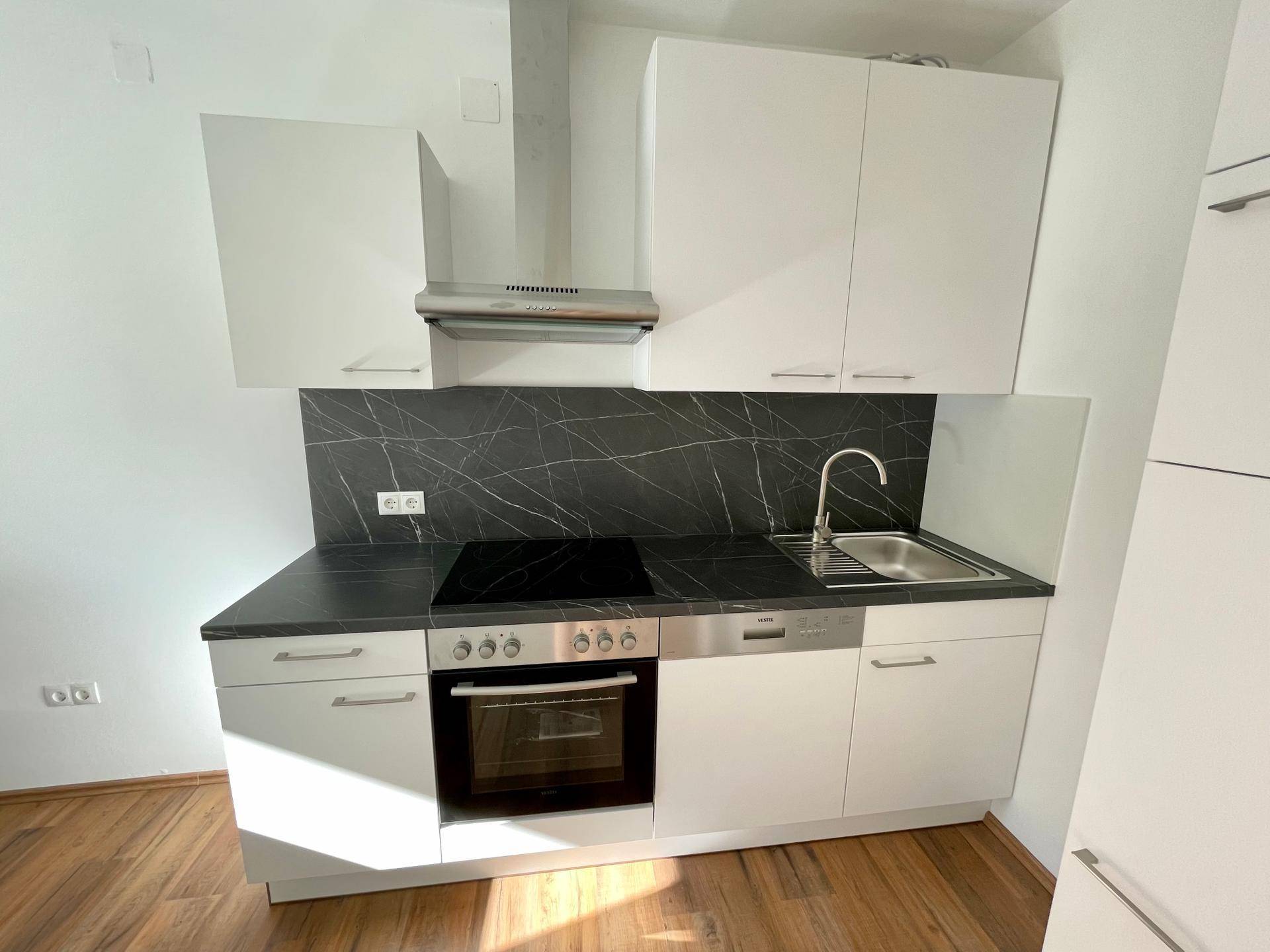 Funktionale Einbauküche mit Induktionskochfeld, Backofen, Spülmaschine und modernem Design.