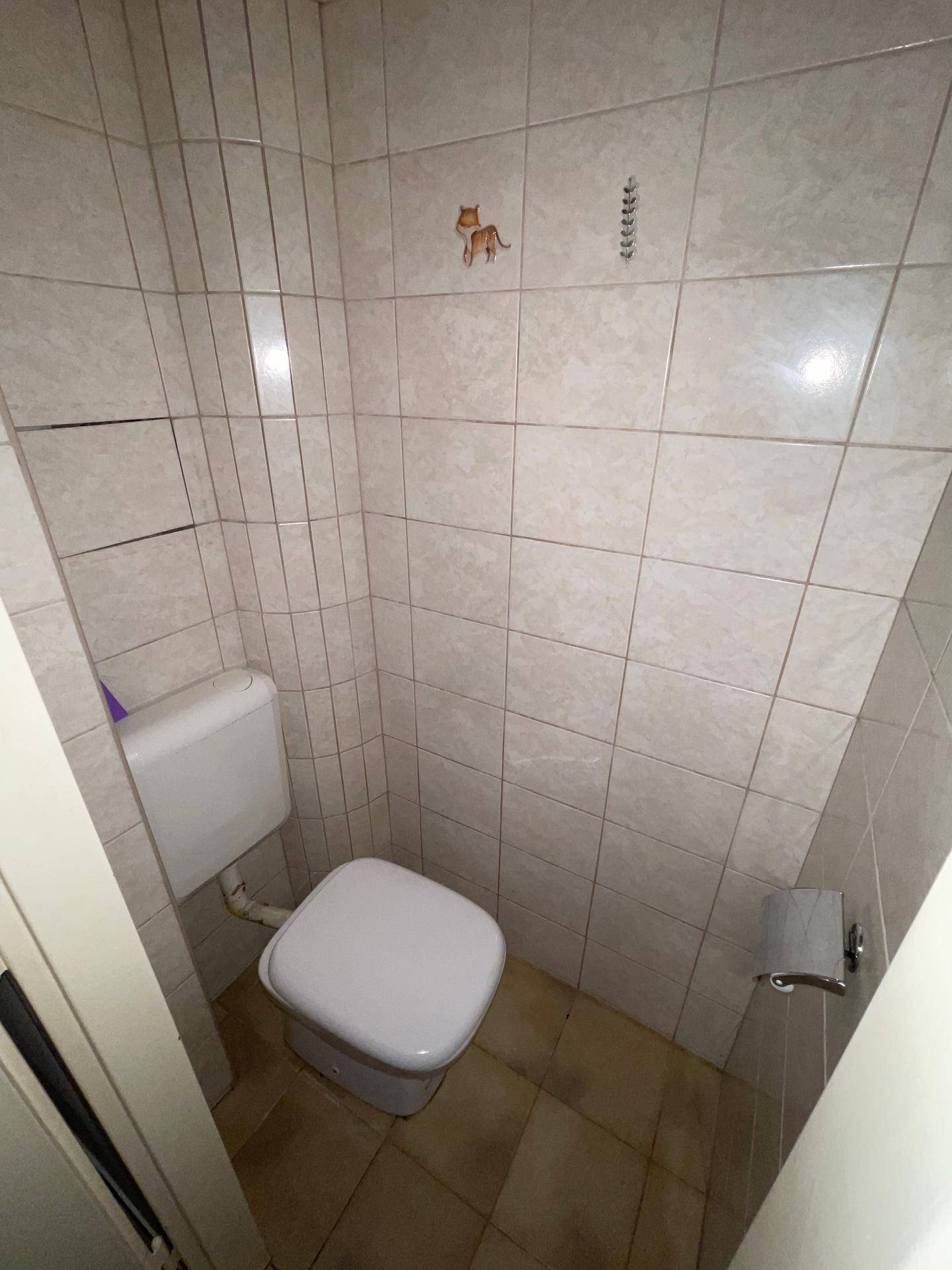 Separate Toilette mit Fliesenwänden und einem kleinen Dekorationsdetail.