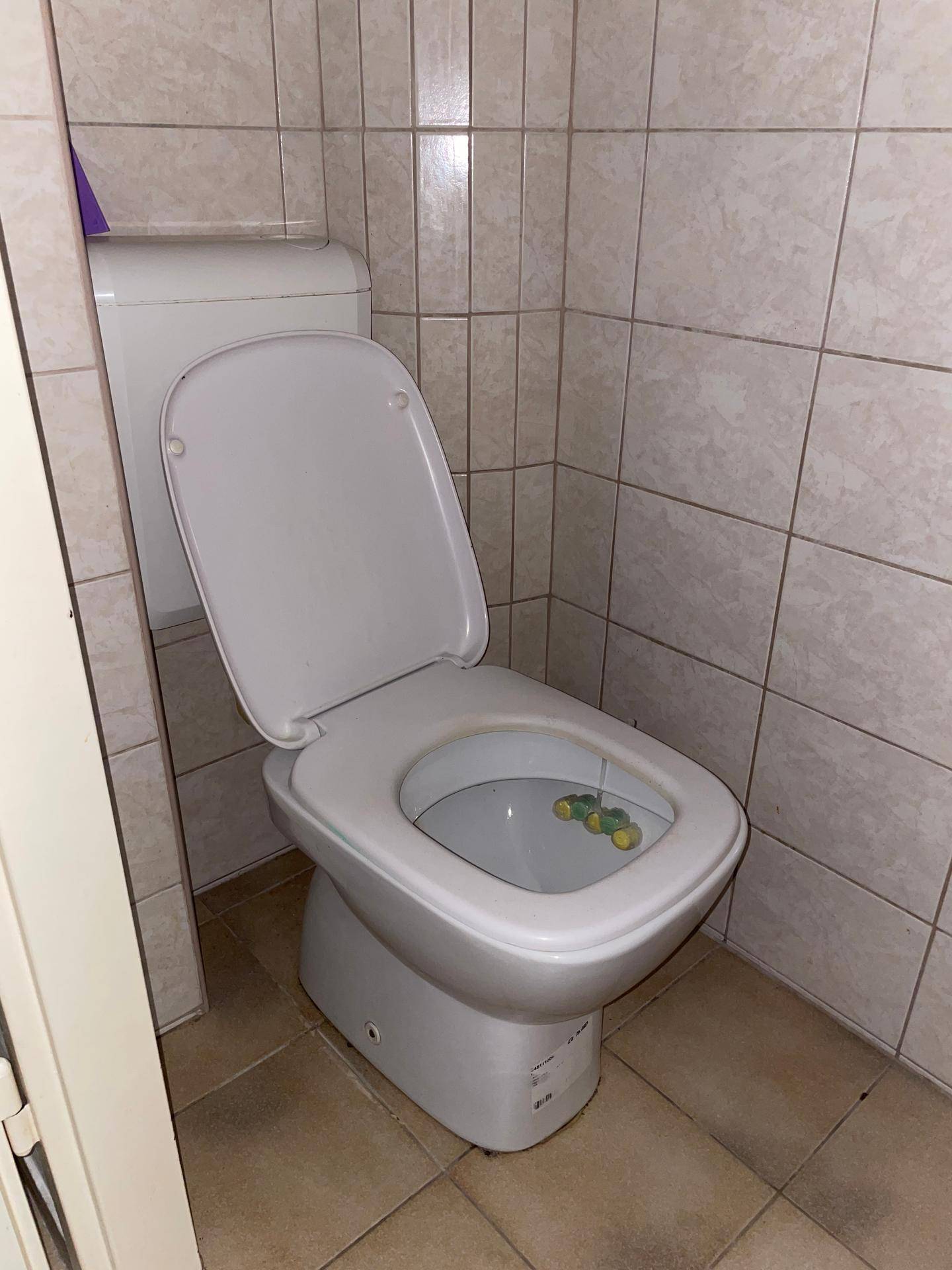 Toilette mit weißer Keramik und hellen Fliesen, sauber und funktional.