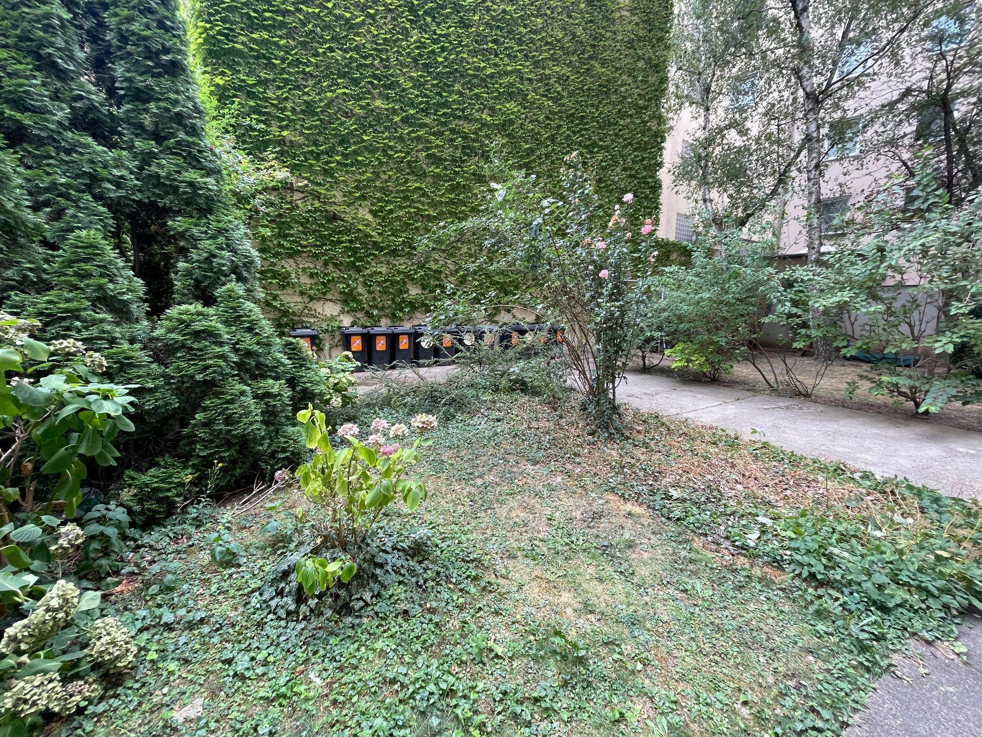 Grüner Innenhof mit vielfältiger Bepflanzung, einem Rosenbusch und Mülltonnen im Hintergrund.