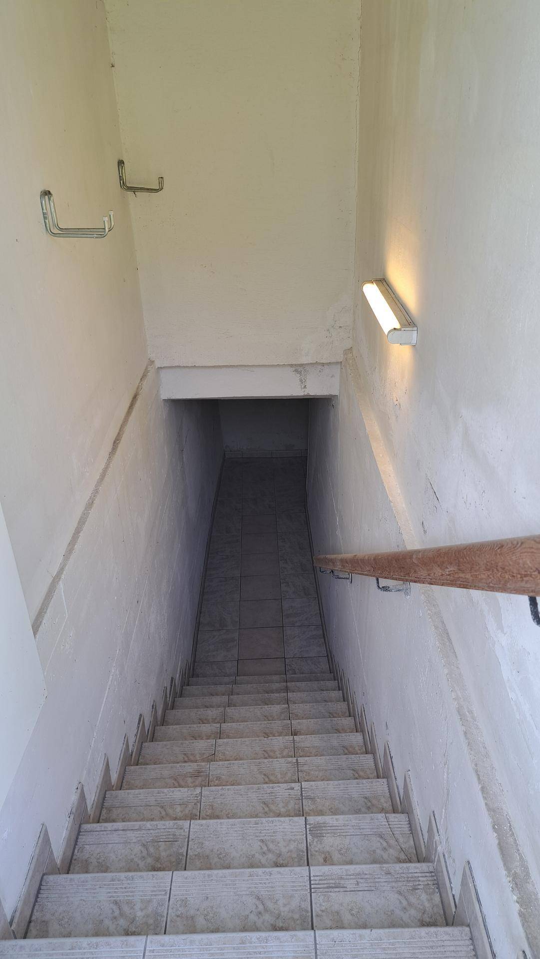 Treppenabgang in den Keller mit gefliesten Stufen und Handlauf.